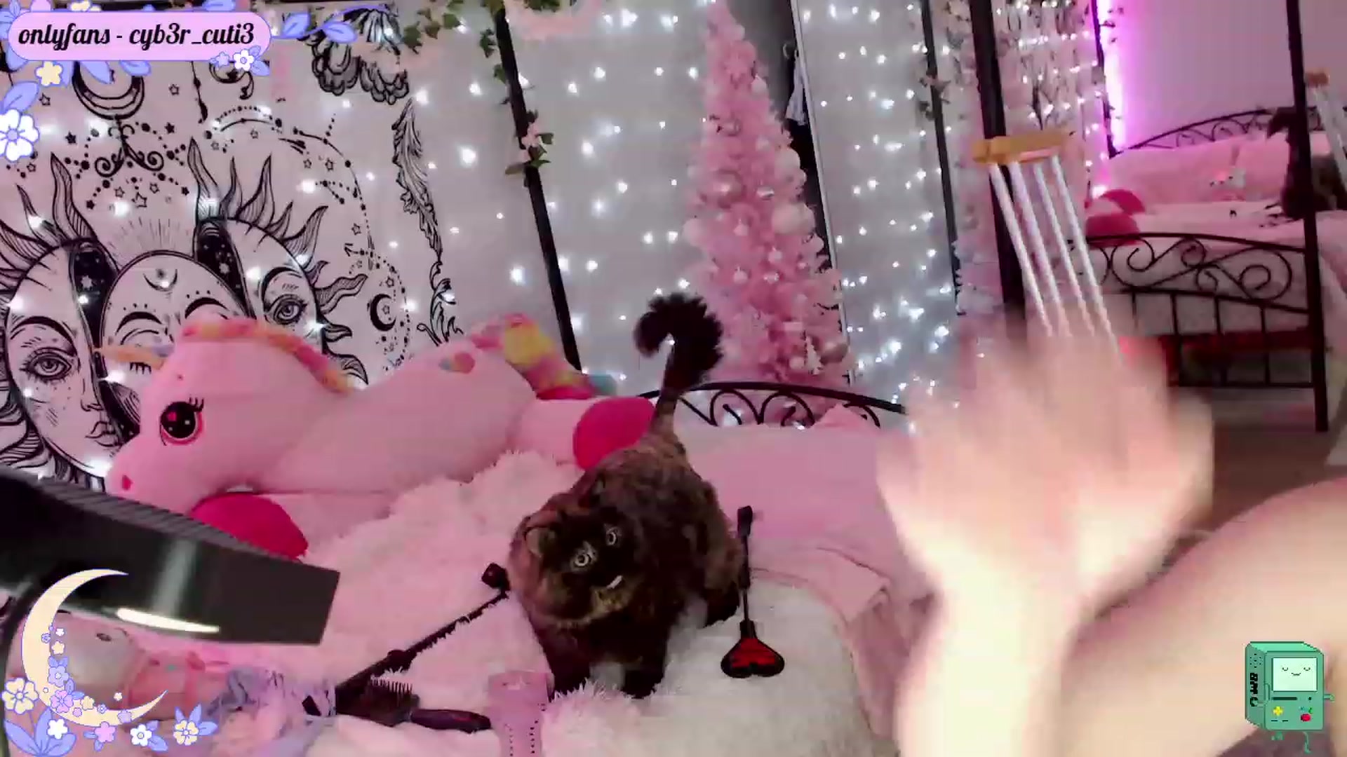 Gallery image thumbnail from cyb3r_cuti3's myfreecams stream on, 12/19/2022, 01:33 image 14 of 20