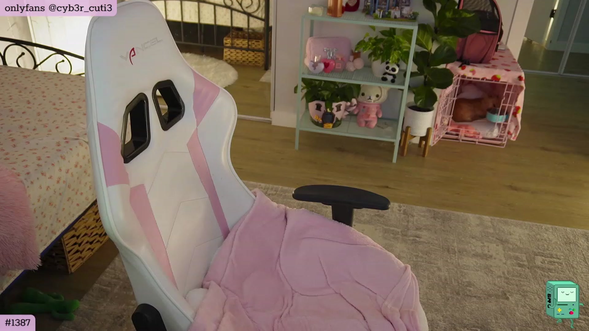 Gallery image thumbnail from cyb3r_cuti3's myfreecams stream on, 01/29/2023, 23:27 image 11 of 20
