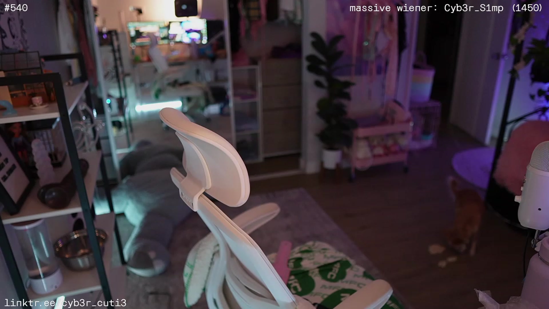 Gallery image thumbnail from cyb3r_cuti3's myfreecams stream on, 09/05/2023, 06:58 image 12 of 20