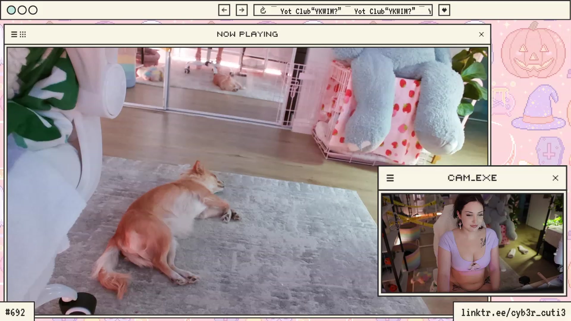 Gallery image thumbnail from cyb3r_cuti3's myfreecams stream on, 10/16/2023, 24:14 image 8 of 20