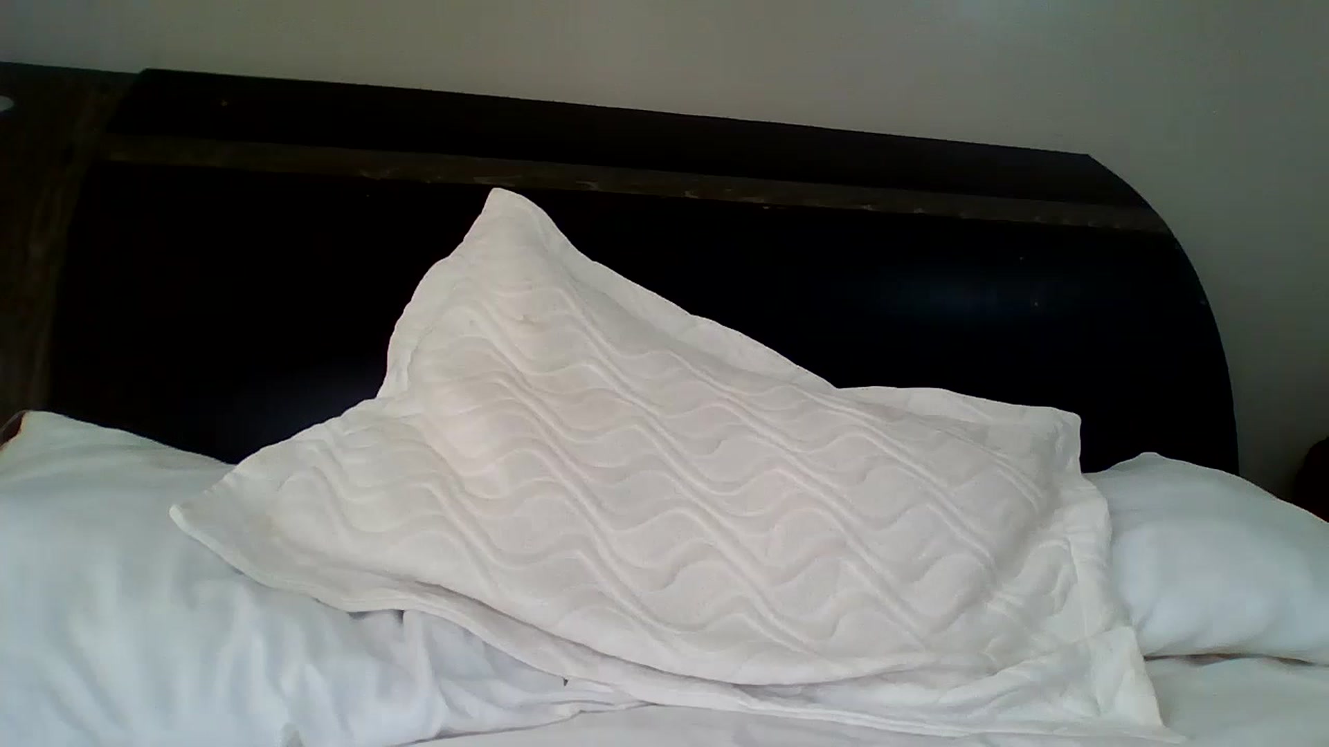 Gallery image thumbnail from dabaxoxo's myfreecams stream on, 12/21/2022, 15:47 image 1 of 20