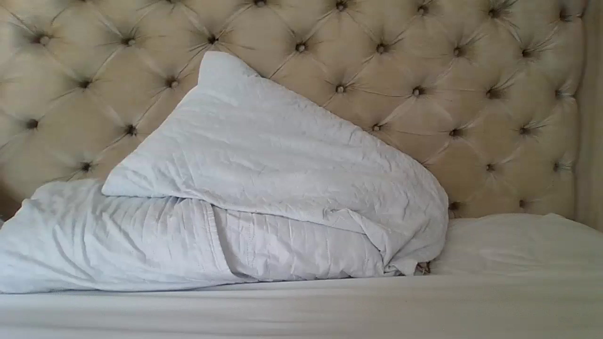 Gallery image thumbnail from dabaxoxo's myfreecams stream on, 08/15/2024, 13:44 image 7 of 20