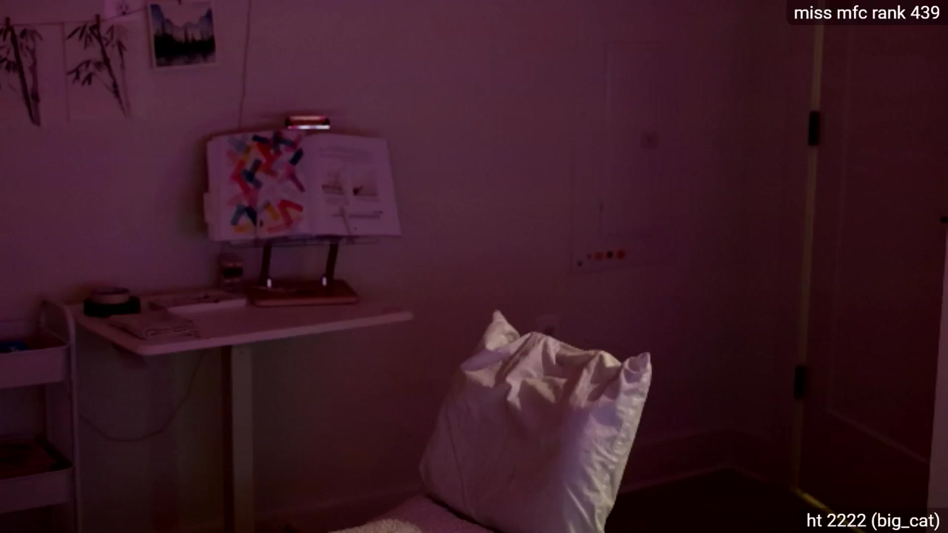 Gallery image thumbnail from dais_'s myfreecams stream on, 07/05/2025, 05:40 image 8 of 20