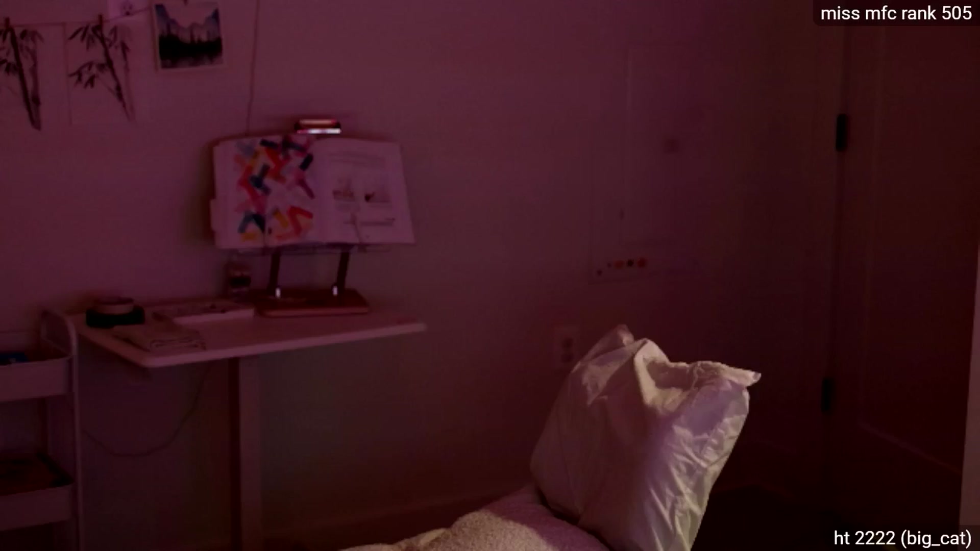 Gallery image thumbnail from dais_'s myfreecams stream on, 07/05/2025, 05:40 image 2 of 20