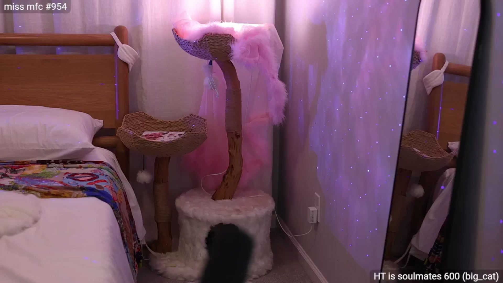 Gallery image thumbnail from daisii's myfreecams stream on, 09/28/2024, 04:28 image 8 of 20