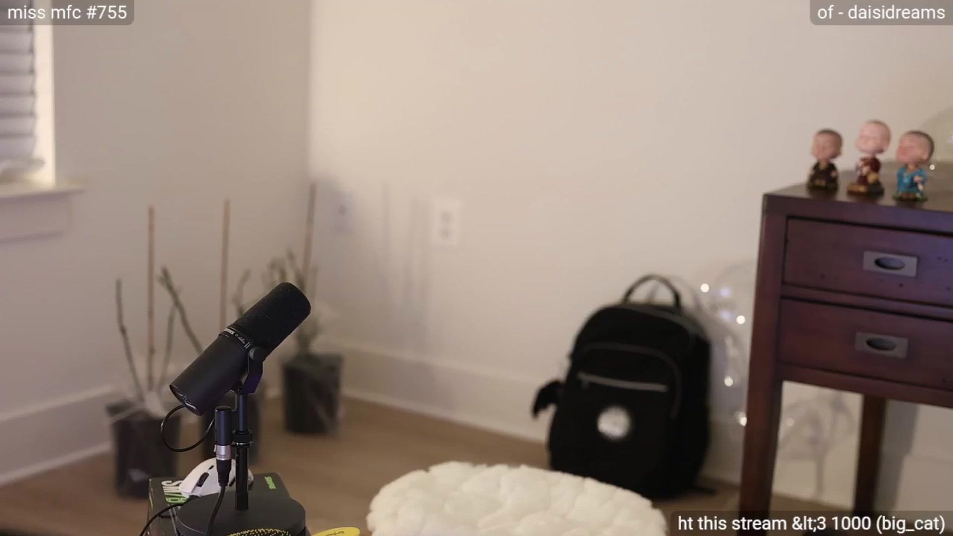 Gallery image thumbnail from daisii's myfreecams stream on, 12/07/2024, 05:16 image 16 of 20