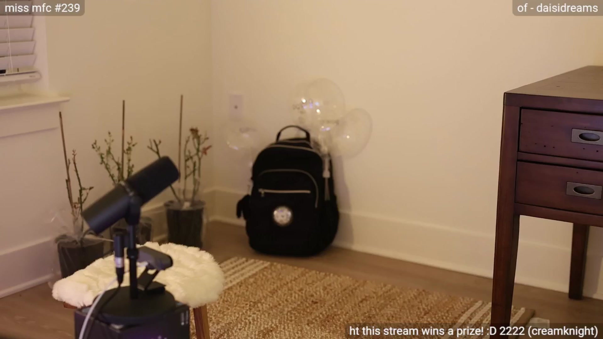 Gallery image thumbnail from daisii's myfreecams stream on, 12/11/2024, 04:59 image 12 of 20