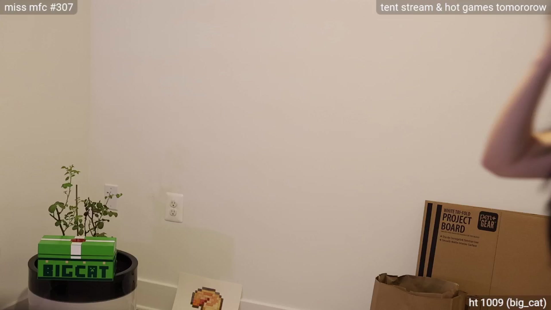 Gallery image thumbnail from daisii's myfreecams stream on, 12/31/2024, 06:53 image 9 of 20