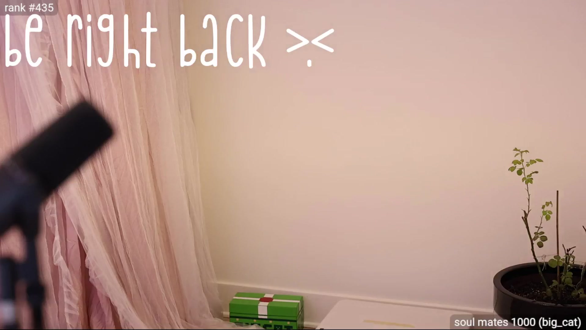Gallery image thumbnail from daisii's myfreecams stream on, 01/04/2025, 05:50 image 9 of 20