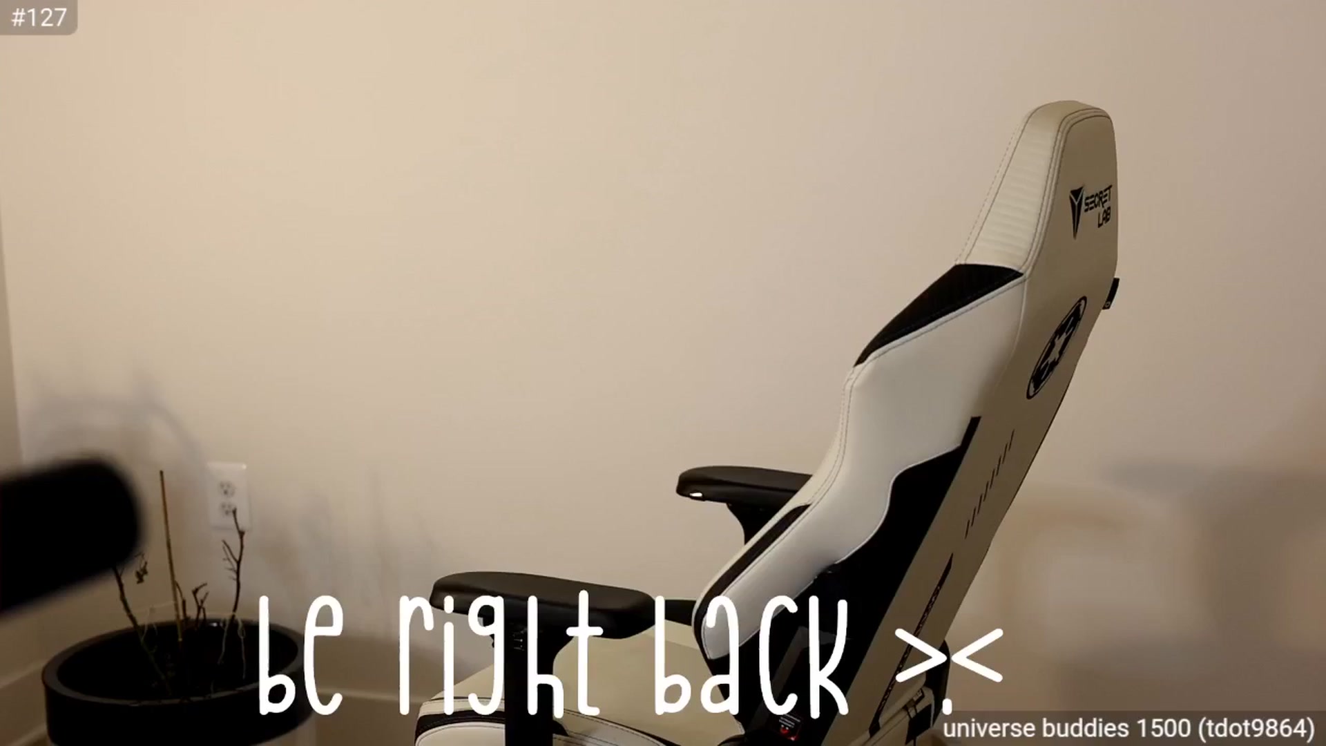 Gallery image thumbnail from daisii's myfreecams stream on, 02/01/2025, 08:42 image 13 of 20