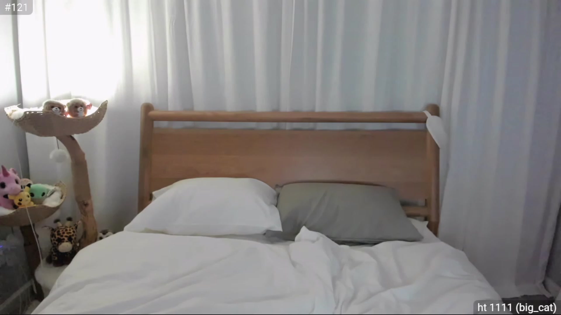 Gallery image thumbnail from daissss's myfreecams stream on, 01/20/2024, 03:50 image 19 of 20