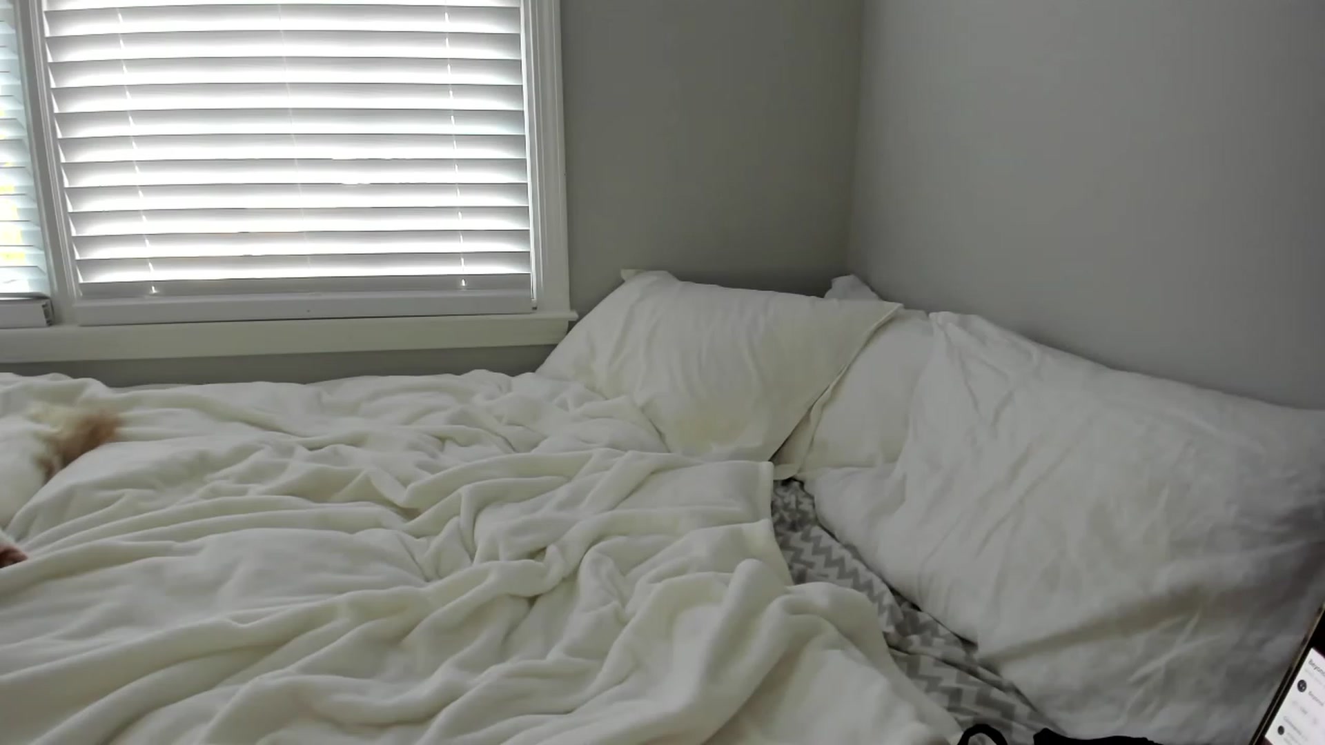 Gallery image thumbnail from daisypi3's myfreecams stream on, 12/15/2022, 20:58 image 20 of 20