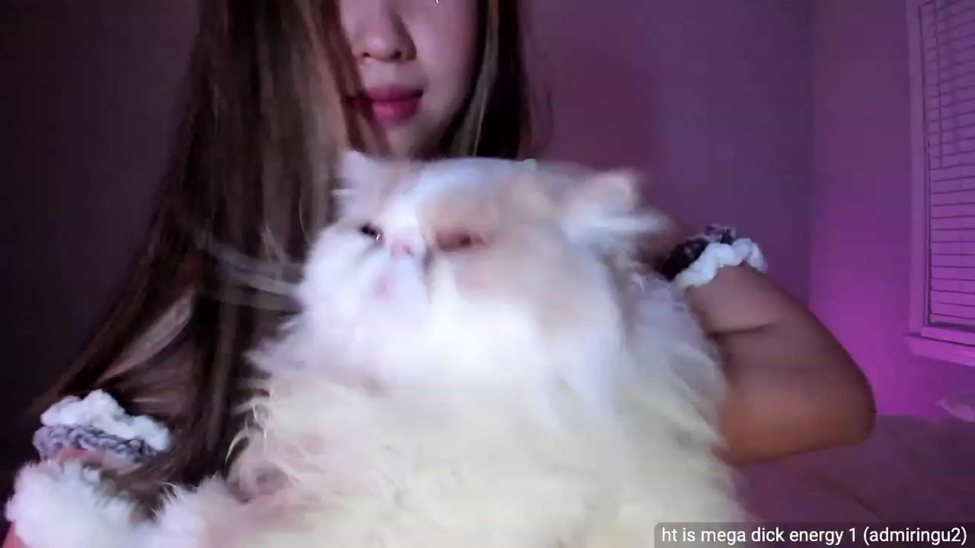 Gallery image thumbnail from daisypi3's myfreecams stream on, 04/29/2023, 09:06 image 2 of 20