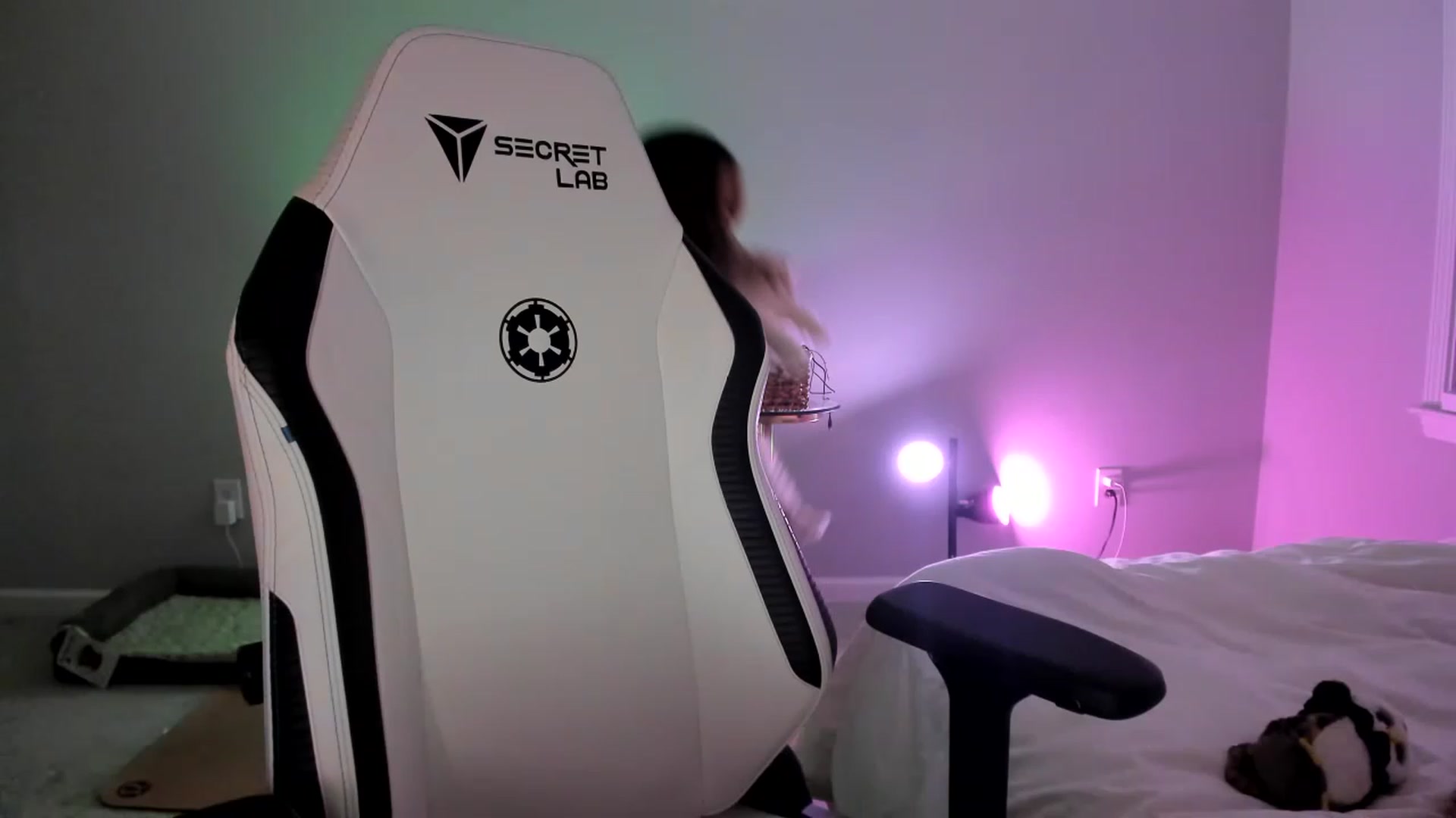 Gallery image thumbnail from daisyy_'s myfreecams stream on, 06/01/2023, 09:42 image 9 of 20