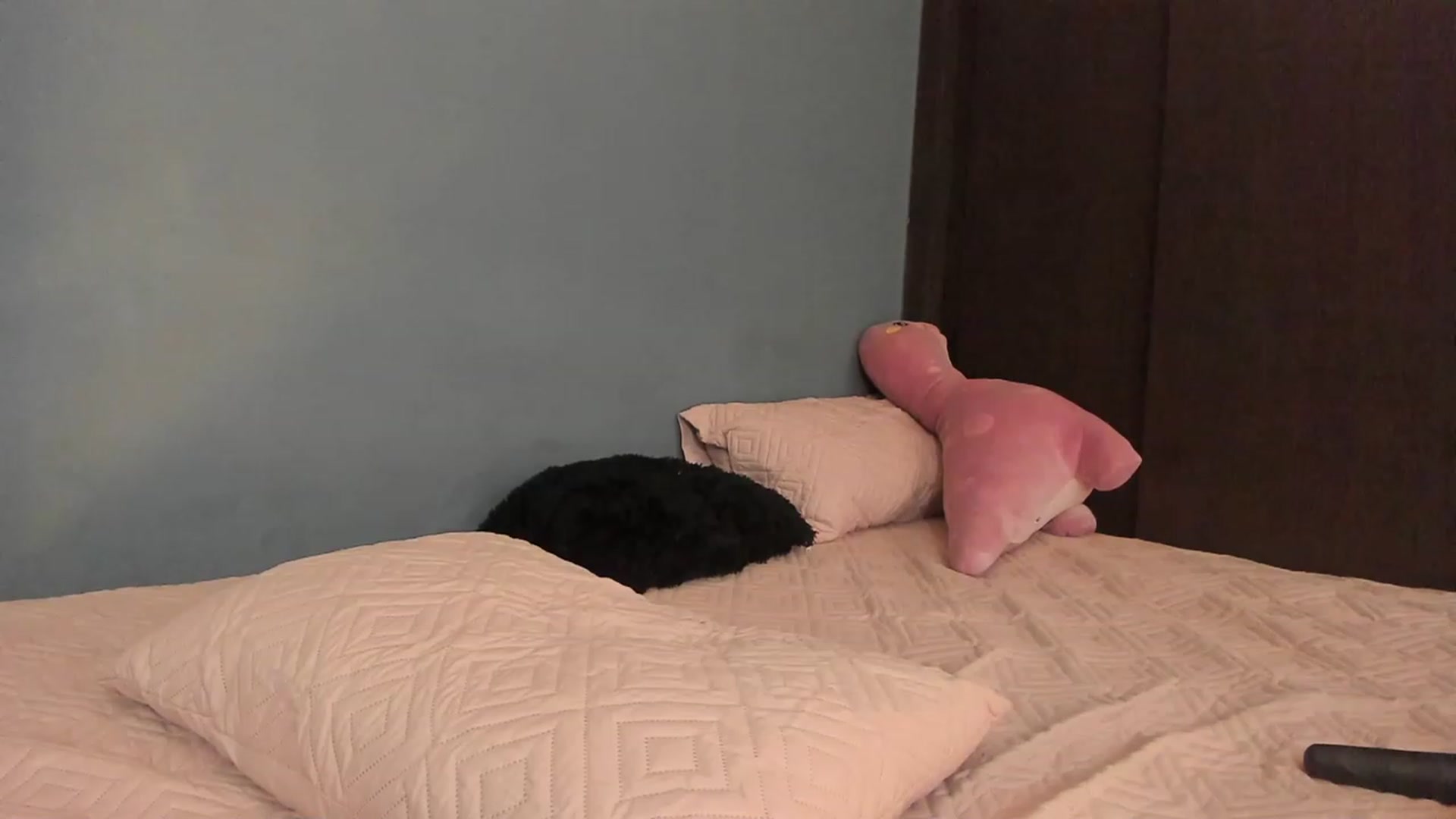 Gallery image thumbnail from dariadiaz_'s myfreecams stream on, 11/03/2023, 18:46 image 17 of 20