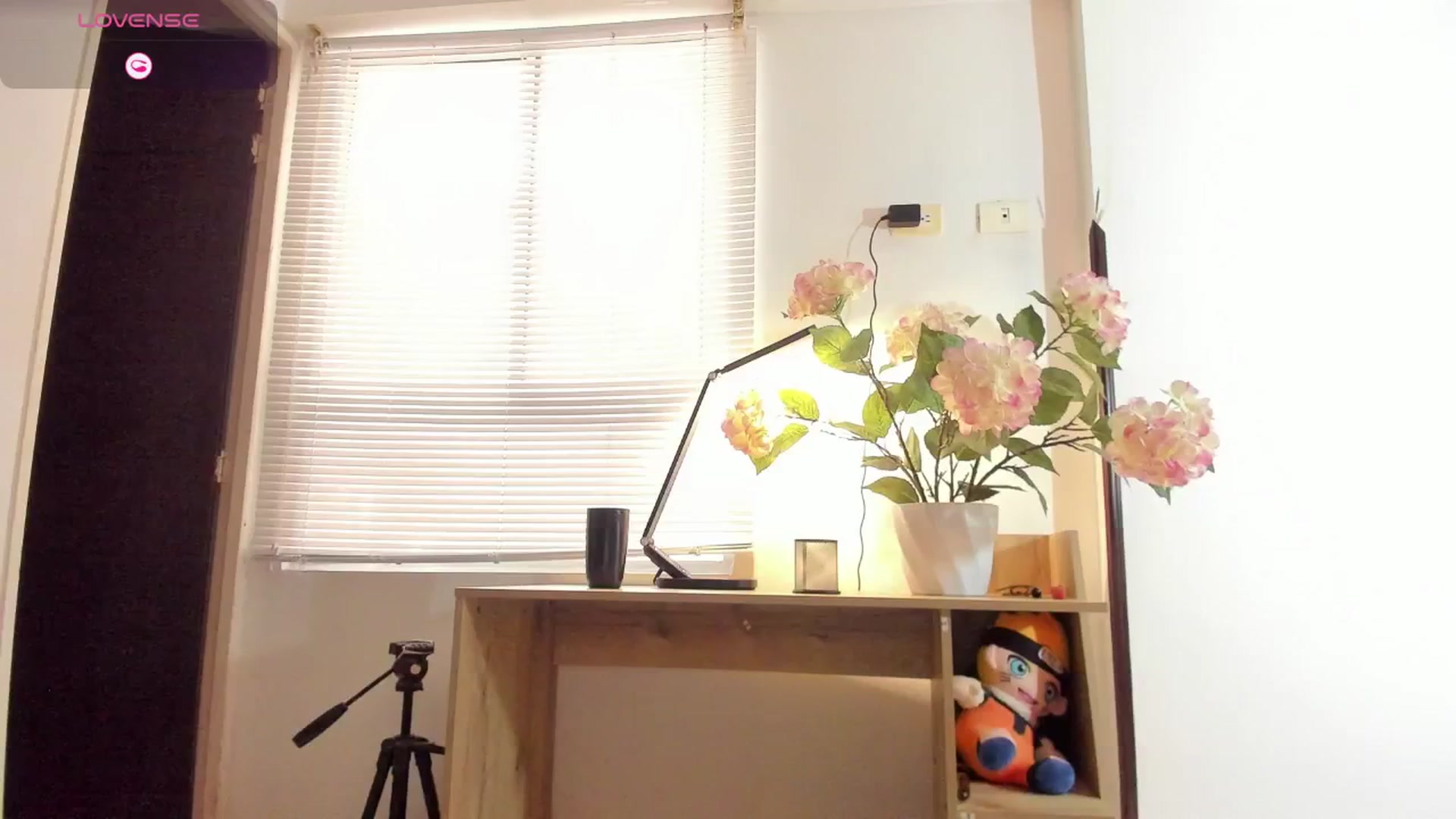 Gallery image thumbnail from dariadiaz_'s myfreecams stream on, 06/25/2025, 19:32 image 10 of 20