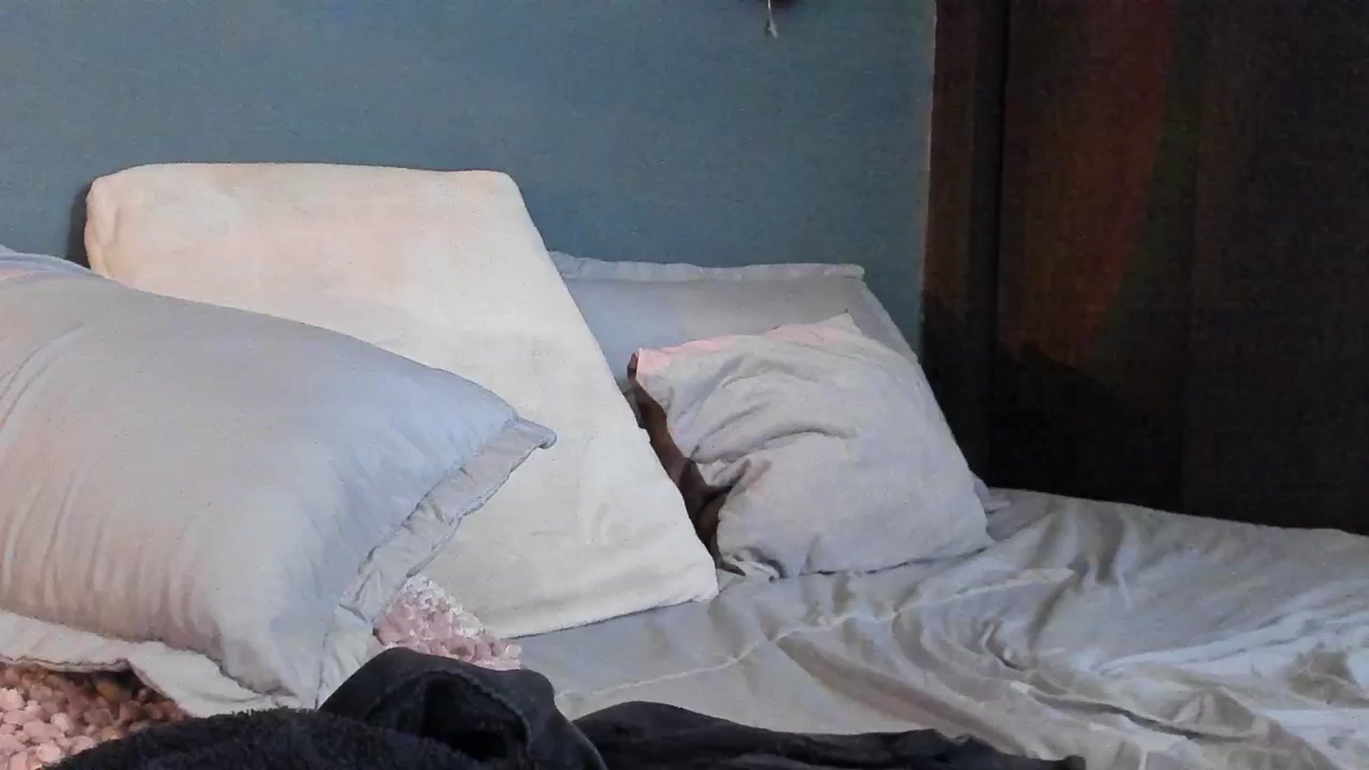 Gallery image thumbnail from dariadiaz_'s myfreecams stream on, 02/11/2026, 19:32 image 19 of 20