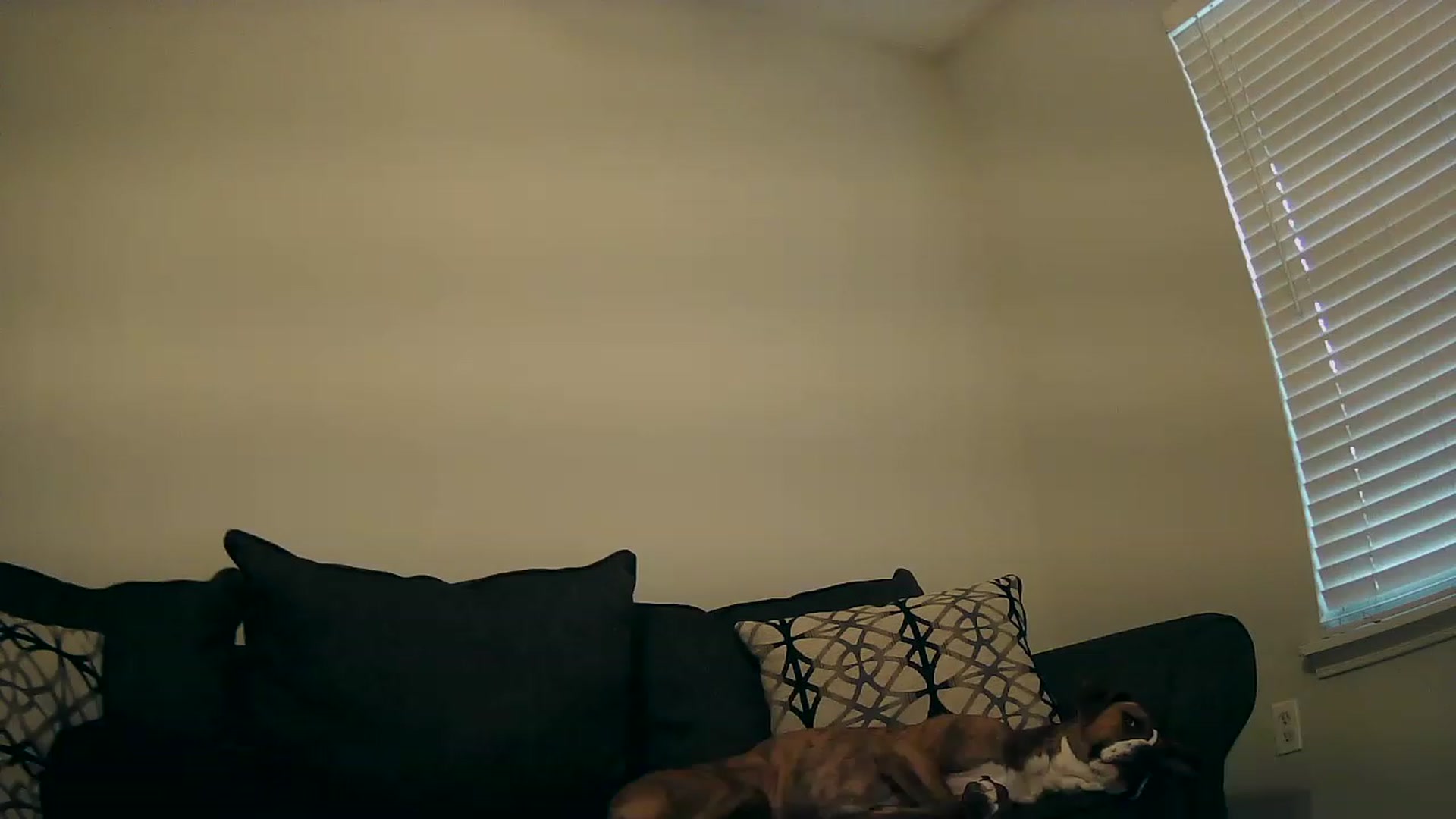 Gallery image thumbnail from datassjay's myfreecams stream on, 06/01/2023, 12:11 image 6 of 20