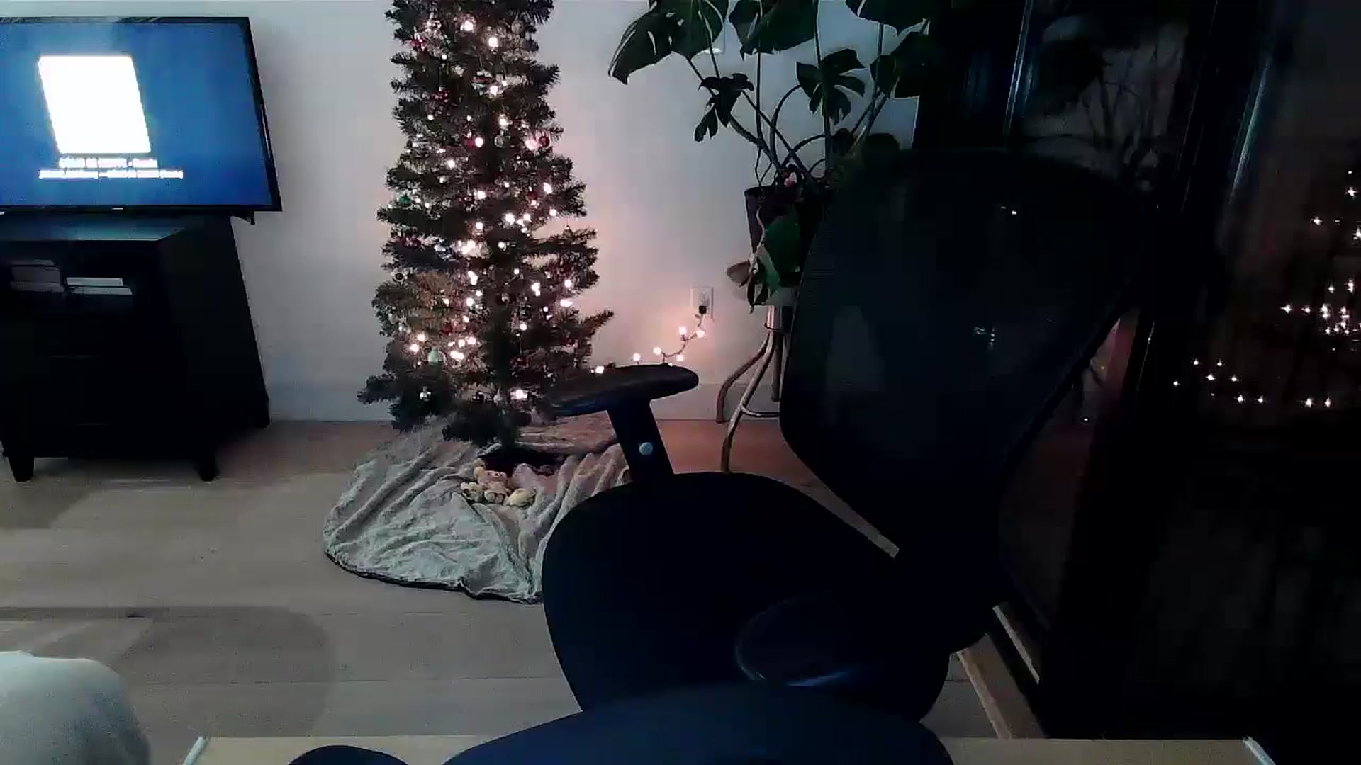Gallery image thumbnail from dayummcharlie's myfreecams stream on, 12/07/2025, 23:07 image 17 of 20