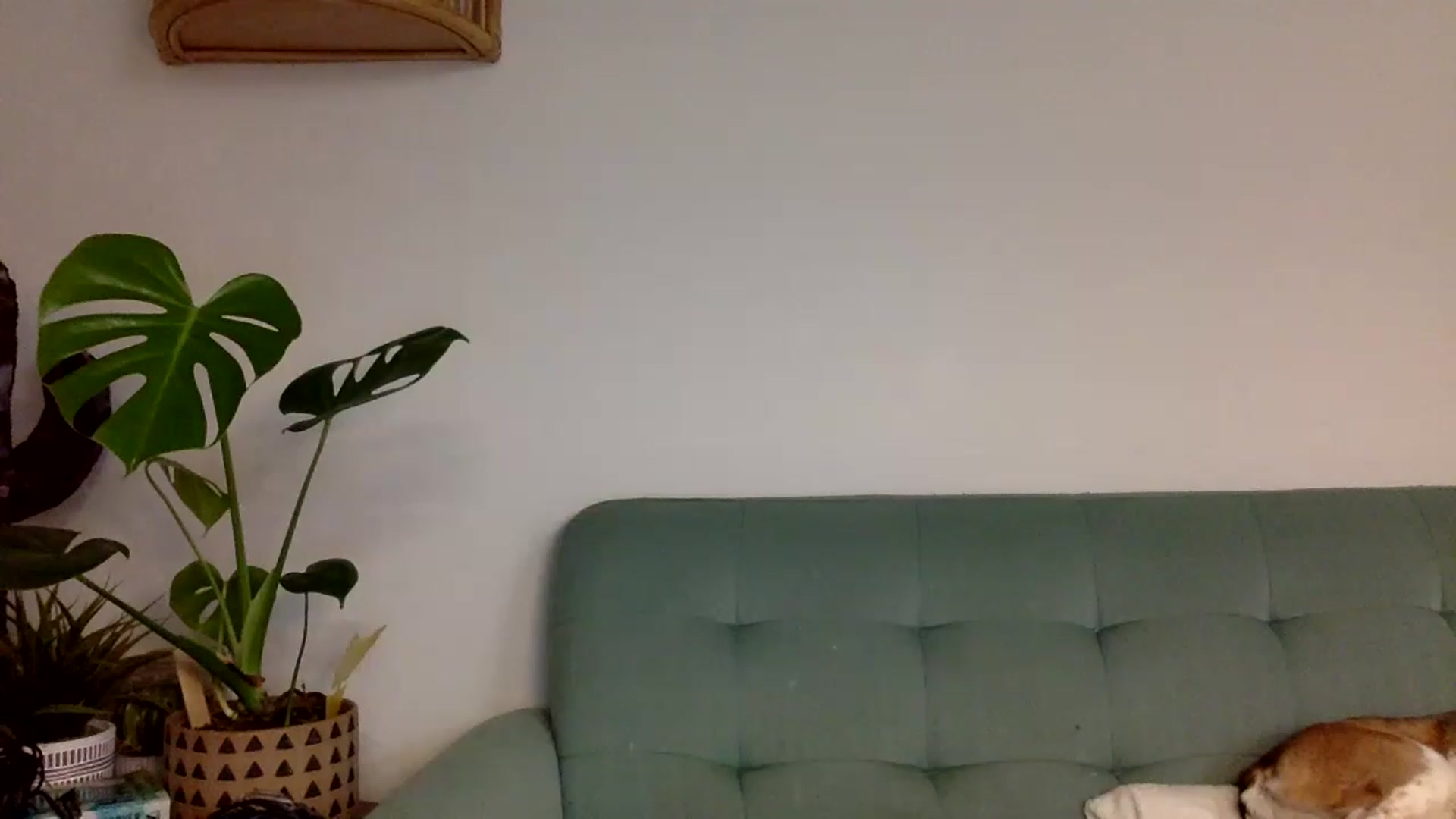 Gallery image thumbnail from dimples4life's myfreecams stream on, 05/05/2023, 03:39 image 7 of 20