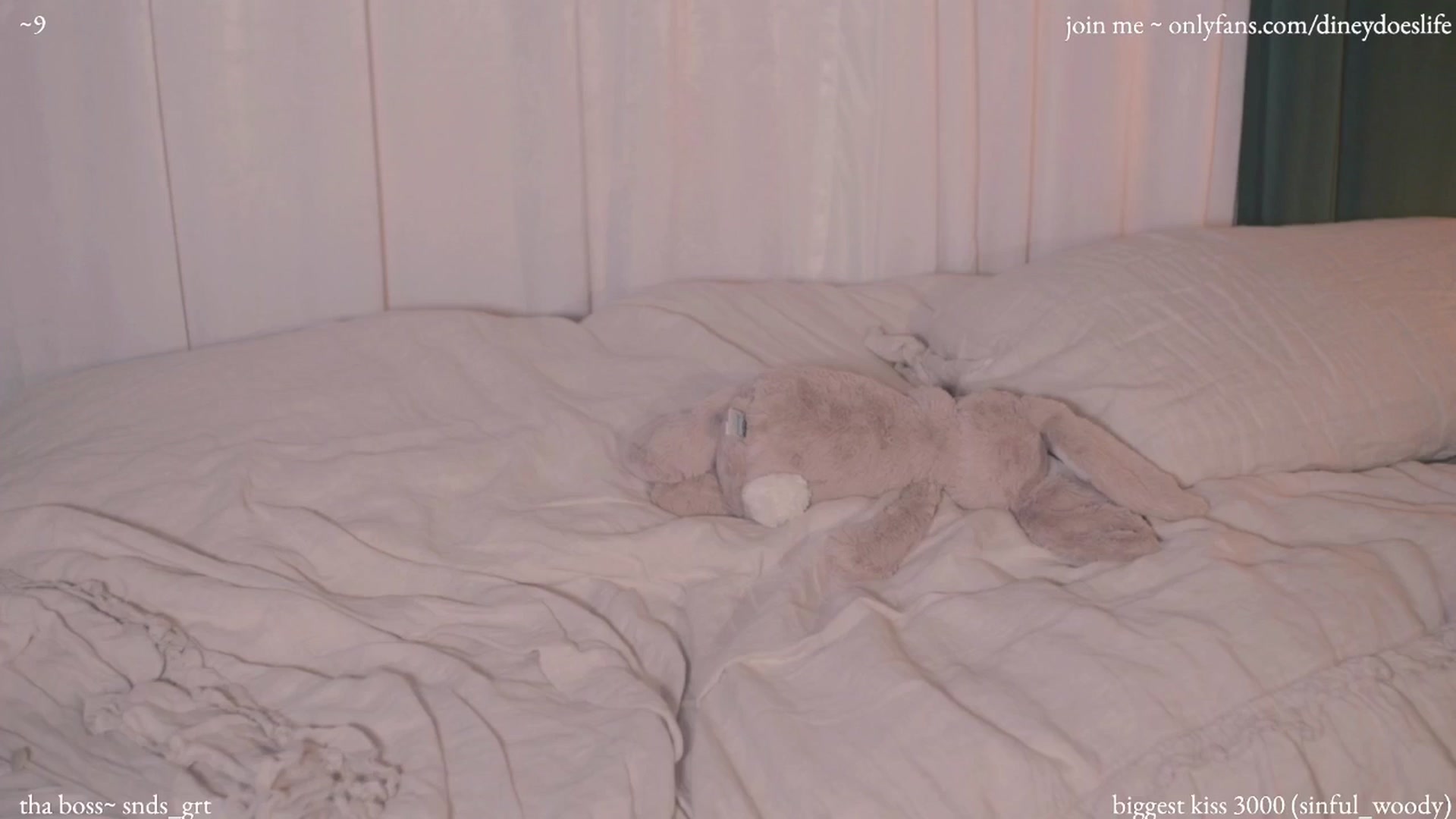 Gallery image thumbnail from diney_'s myfreecams stream on, 07/24/2024, 05:55 image 15 of 20