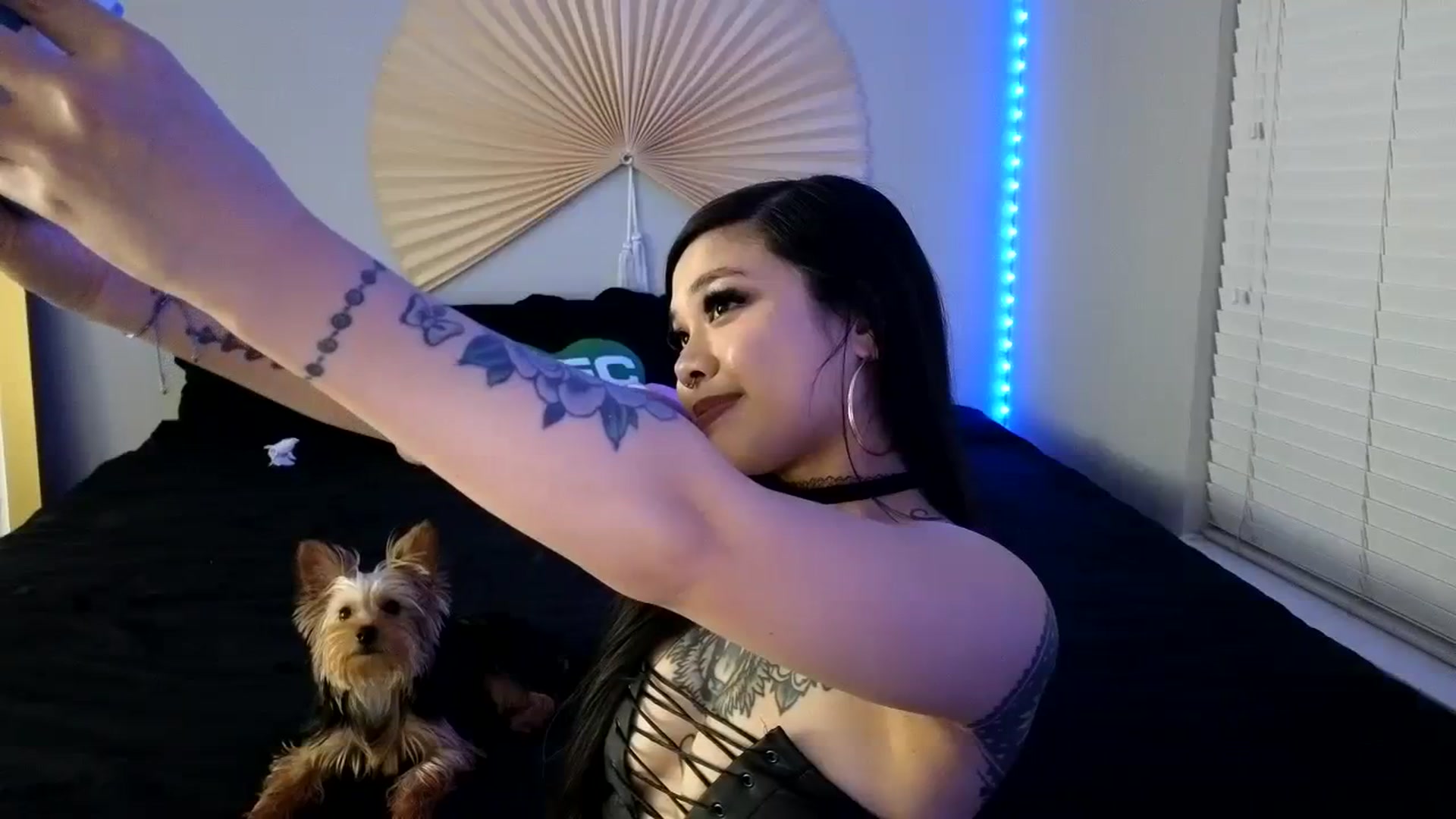 Gallery image thumbnail from dolllface's myfreecams stream on, 08/18/2023, 09:12 image 14 of 20