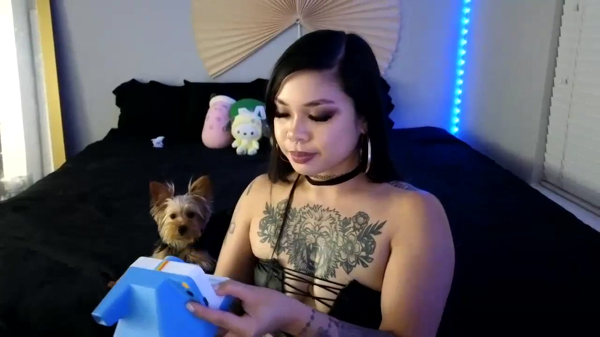 Gallery image thumbnail from dolllface's myfreecams stream on, 08/18/2023, 09:12 image 13 of 20