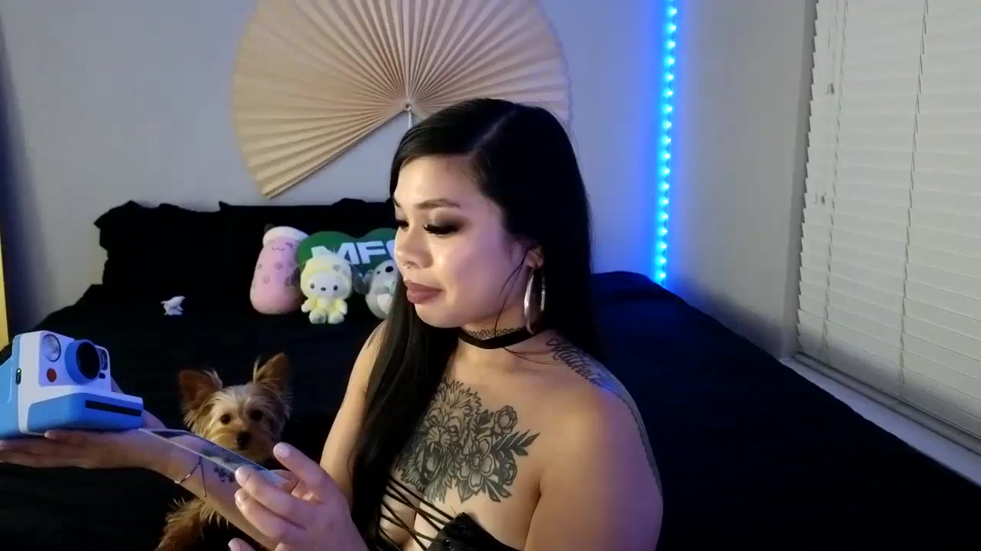 Gallery image thumbnail from dolllface's myfreecams stream on, 08/18/2023, 09:12 image 15 of 20