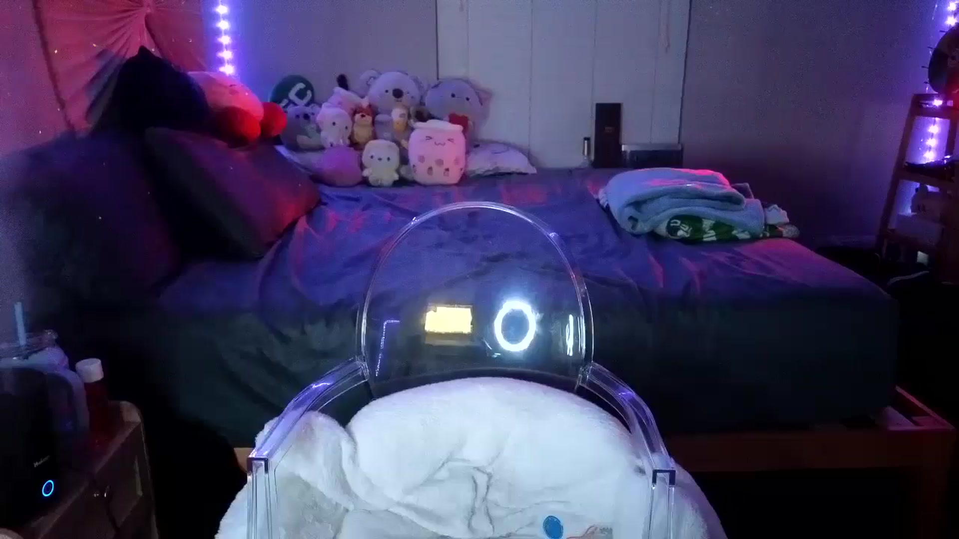 Gallery image thumbnail from dolllface's myfreecams stream on, 11/21/2024, 10:17 image 3 of 20