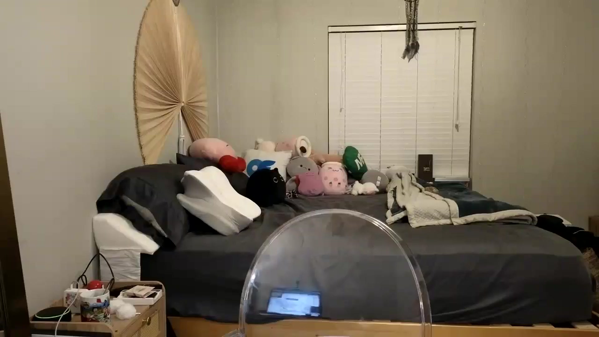 Gallery image thumbnail from dolllface's myfreecams stream on, 12/30/2024, 02:22 image 15 of 20