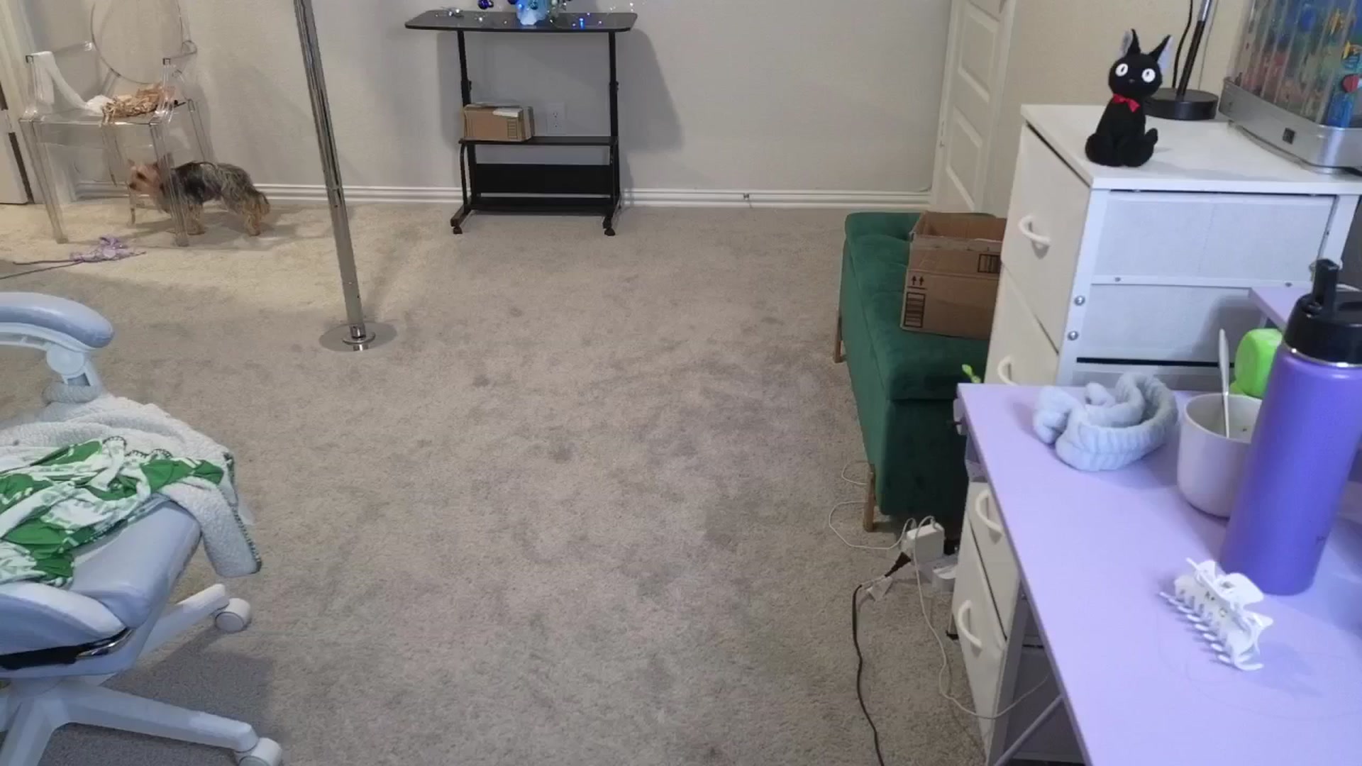 Gallery image thumbnail from dolllface's myfreecams stream on, 12/07/2025, 03:17 image 15 of 20