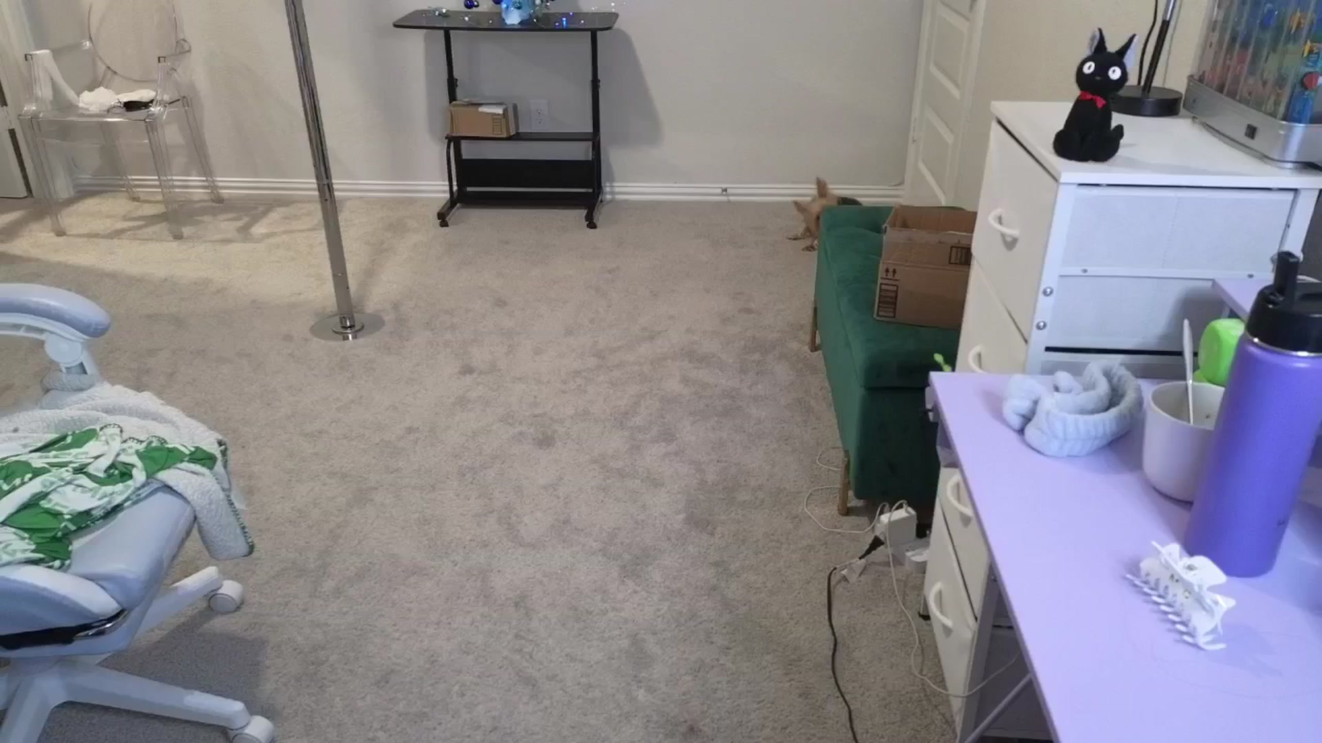 Gallery image thumbnail from dolllface's myfreecams stream on, 12/07/2025, 03:17 image 13 of 20