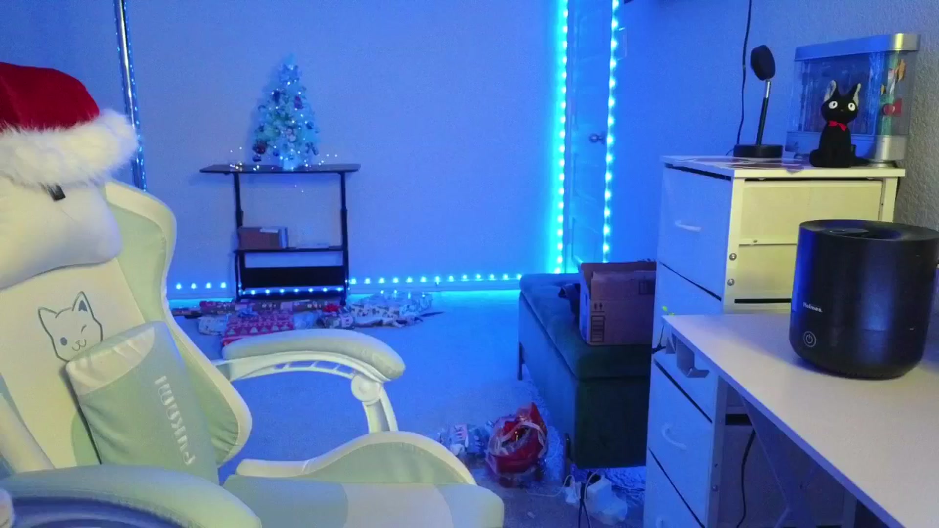 Gallery image thumbnail from dolllface's myfreecams stream on, 12/16/2025, 10:03 image 10 of 20