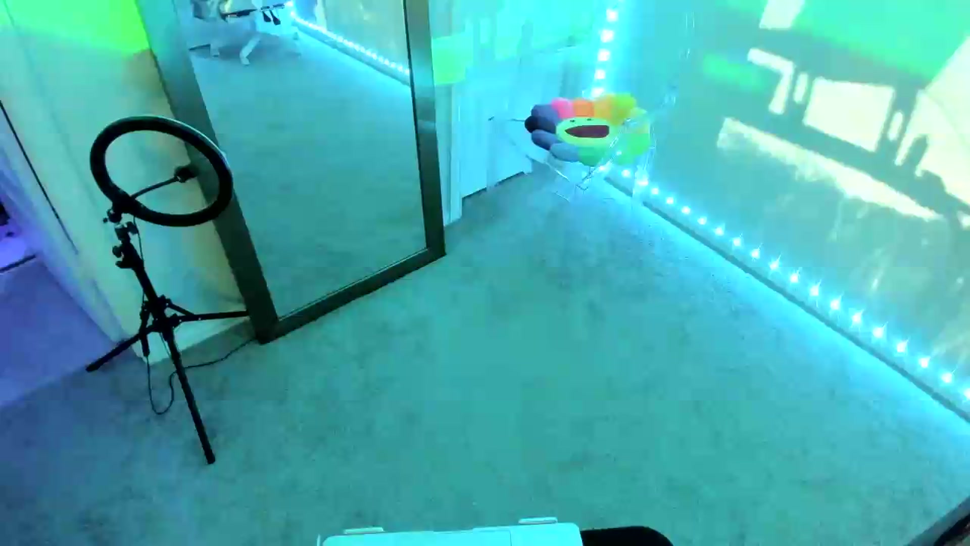 Gallery image thumbnail from dolllface's myfreecams stream on, 08/13/2026, 11:43 image 19 of 20