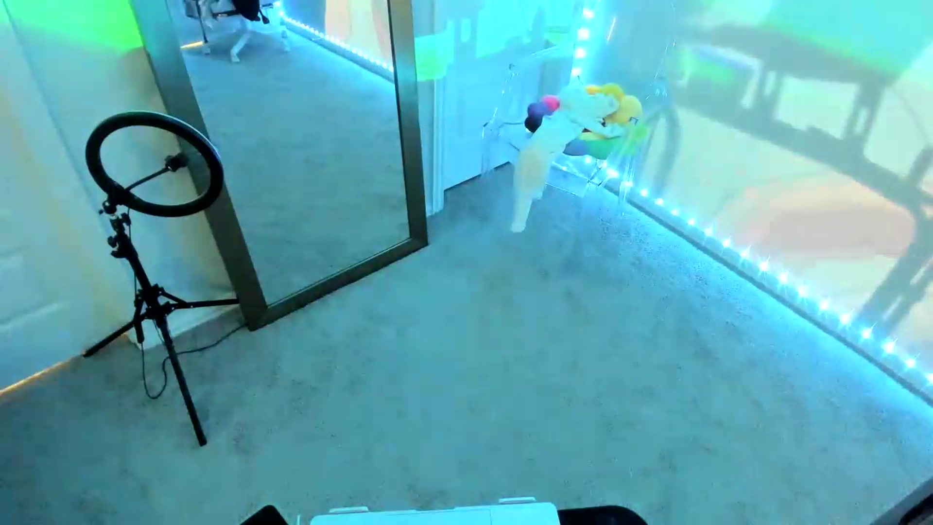 Gallery image thumbnail from dolllface's myfreecams stream on, 08/13/2026, 13:35 image 12 of 20