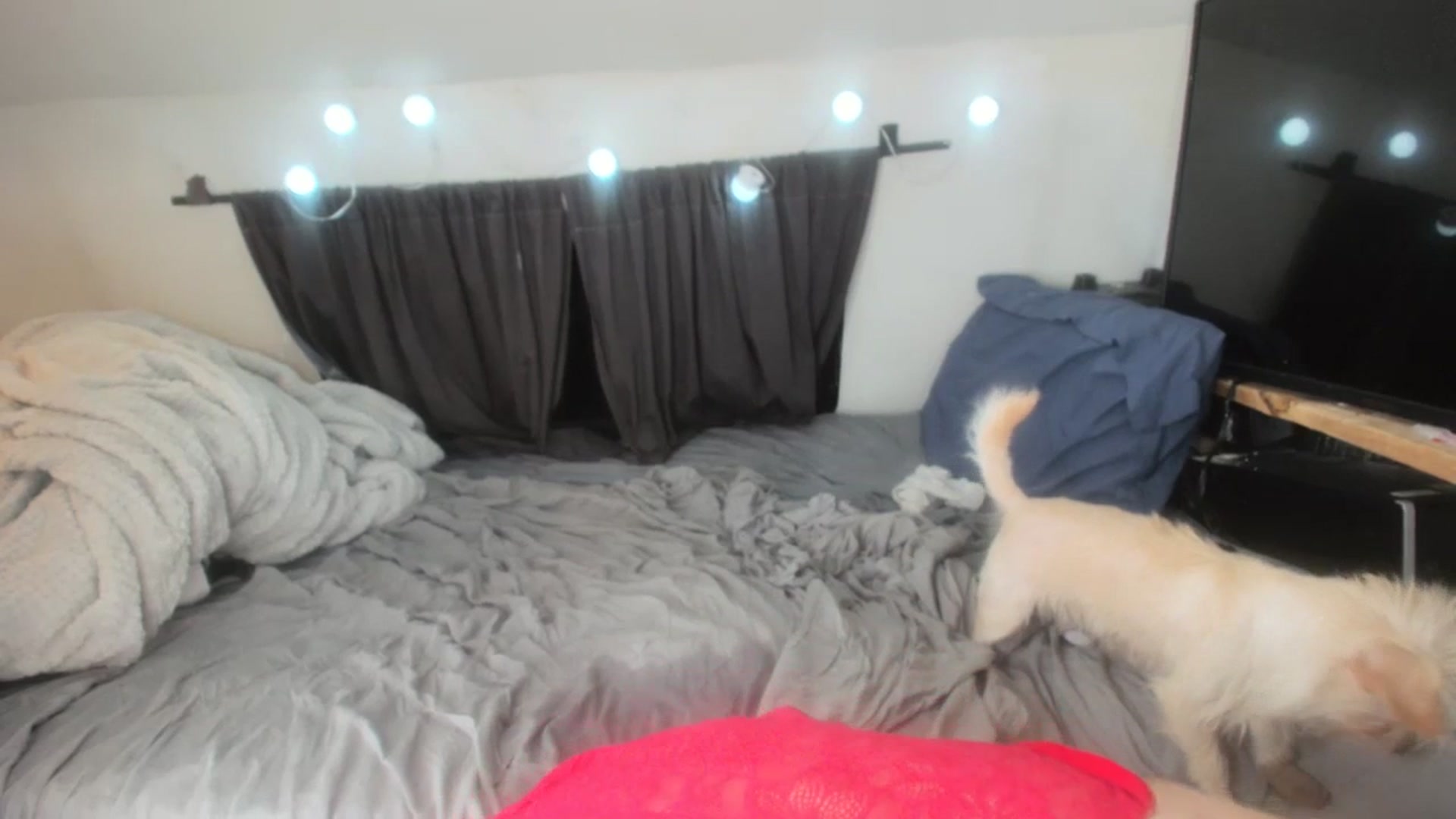 Gallery image thumbnail from drippndaizi's myfreecams stream on, 07/05/2023, 10:44 image 11 of 20