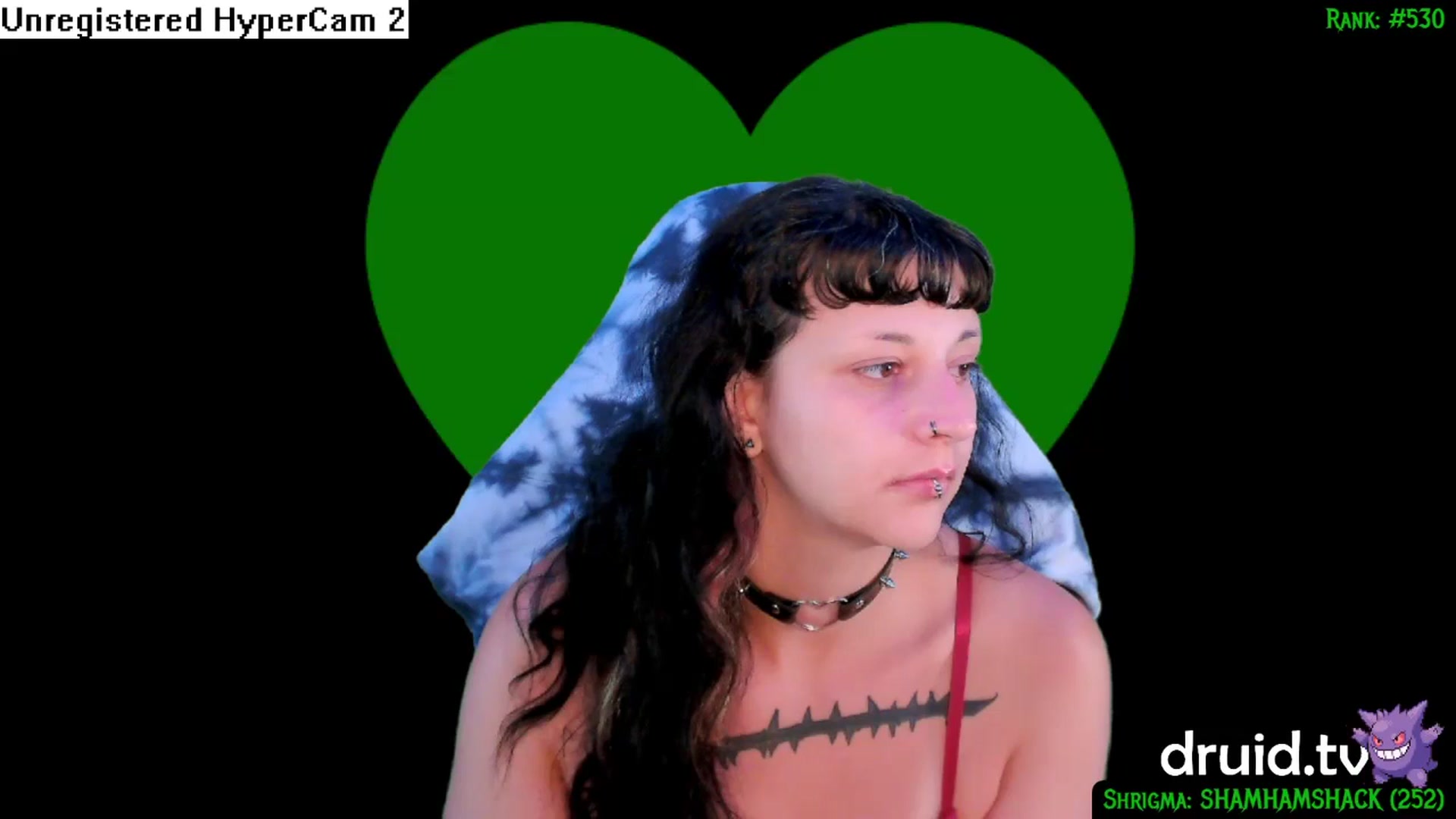 Gallery image thumbnail from druidjpg's myfreecams stream on, 06/16/2024, 05:05 image 3 of 20