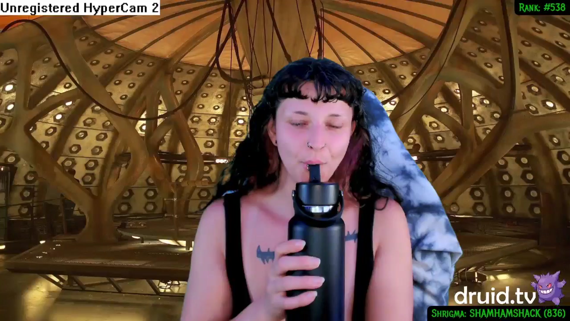 Gallery image thumbnail from druidjpg's myfreecams stream on, 06/17/2024, 02:49 image 13 of 20