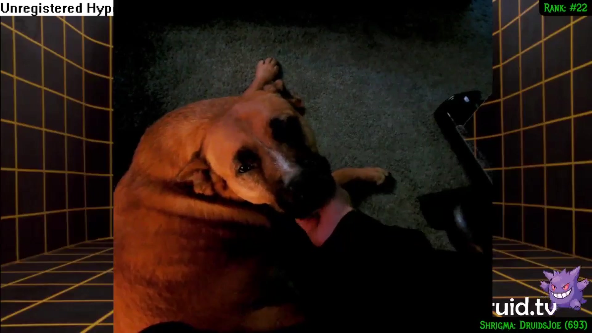 Gallery image thumbnail from druidjpg's myfreecams stream on, 07/19/2024, 04:56 image 3 of 20