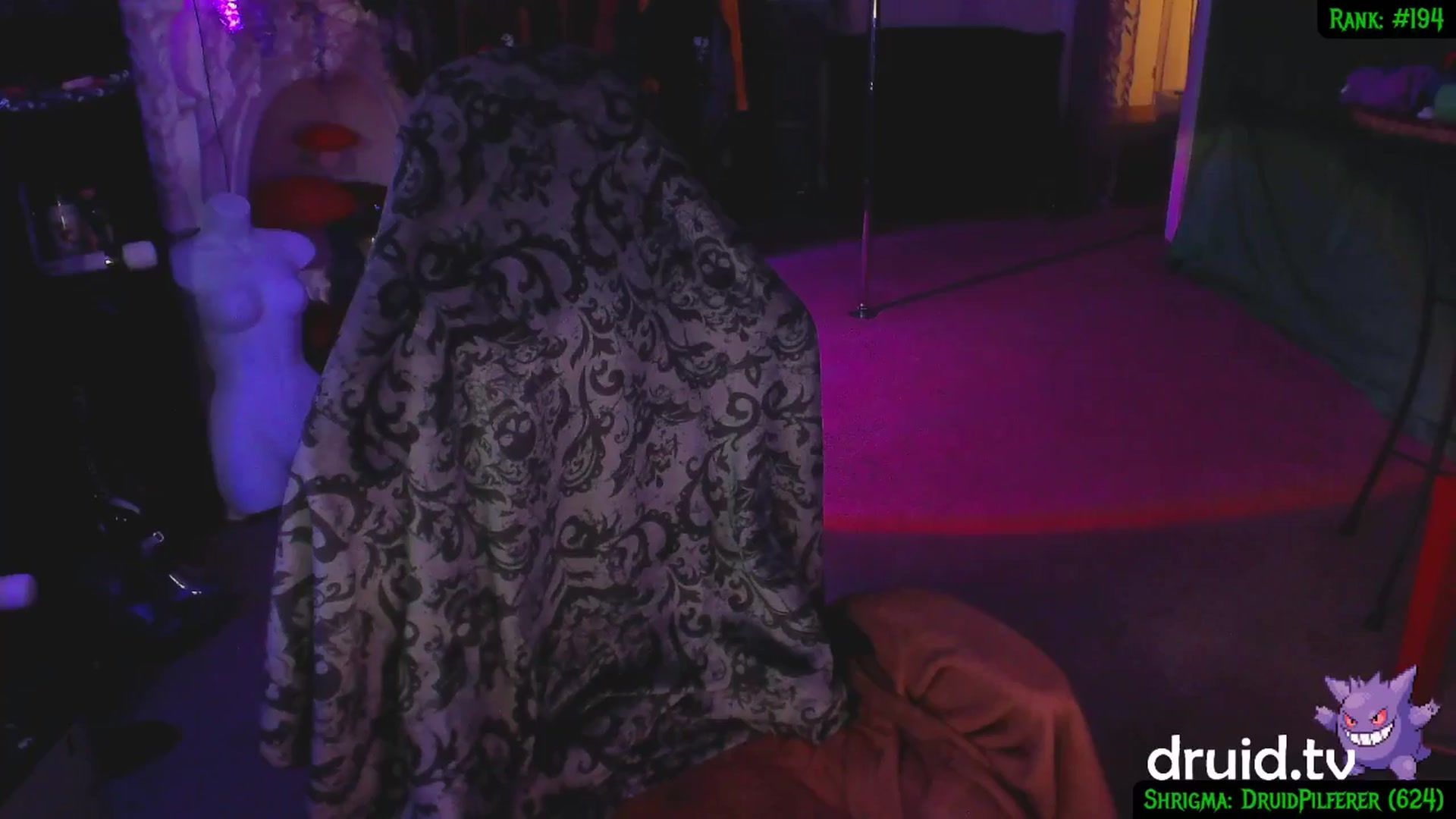 Gallery image thumbnail from druidjpg's myfreecams stream on, 02/14/2025, 06:11 image 13 of 20