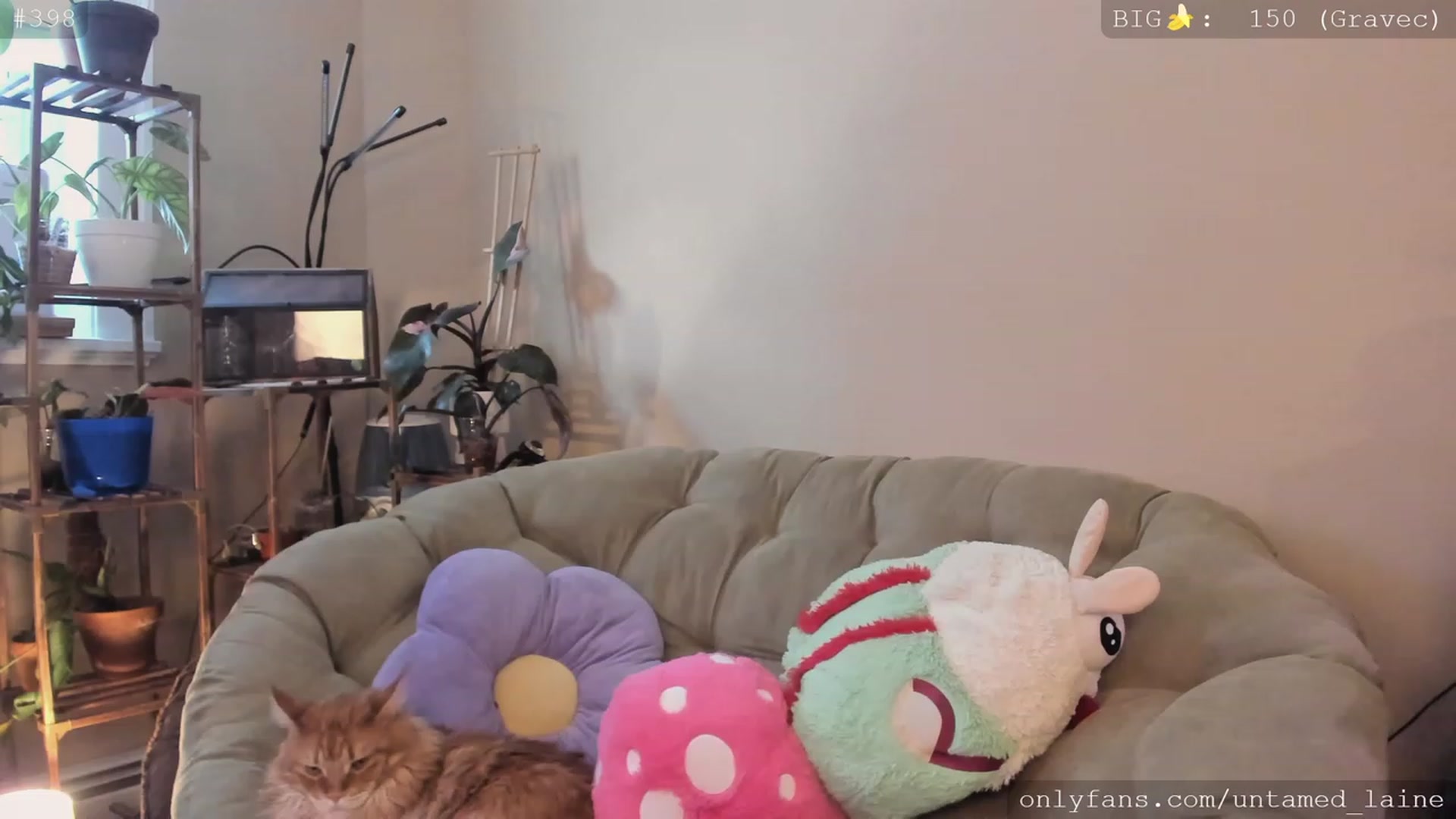 Gallery image thumbnail from e_laine's myfreecams stream on, 11/17/2022, 19:37 image 1 of 20