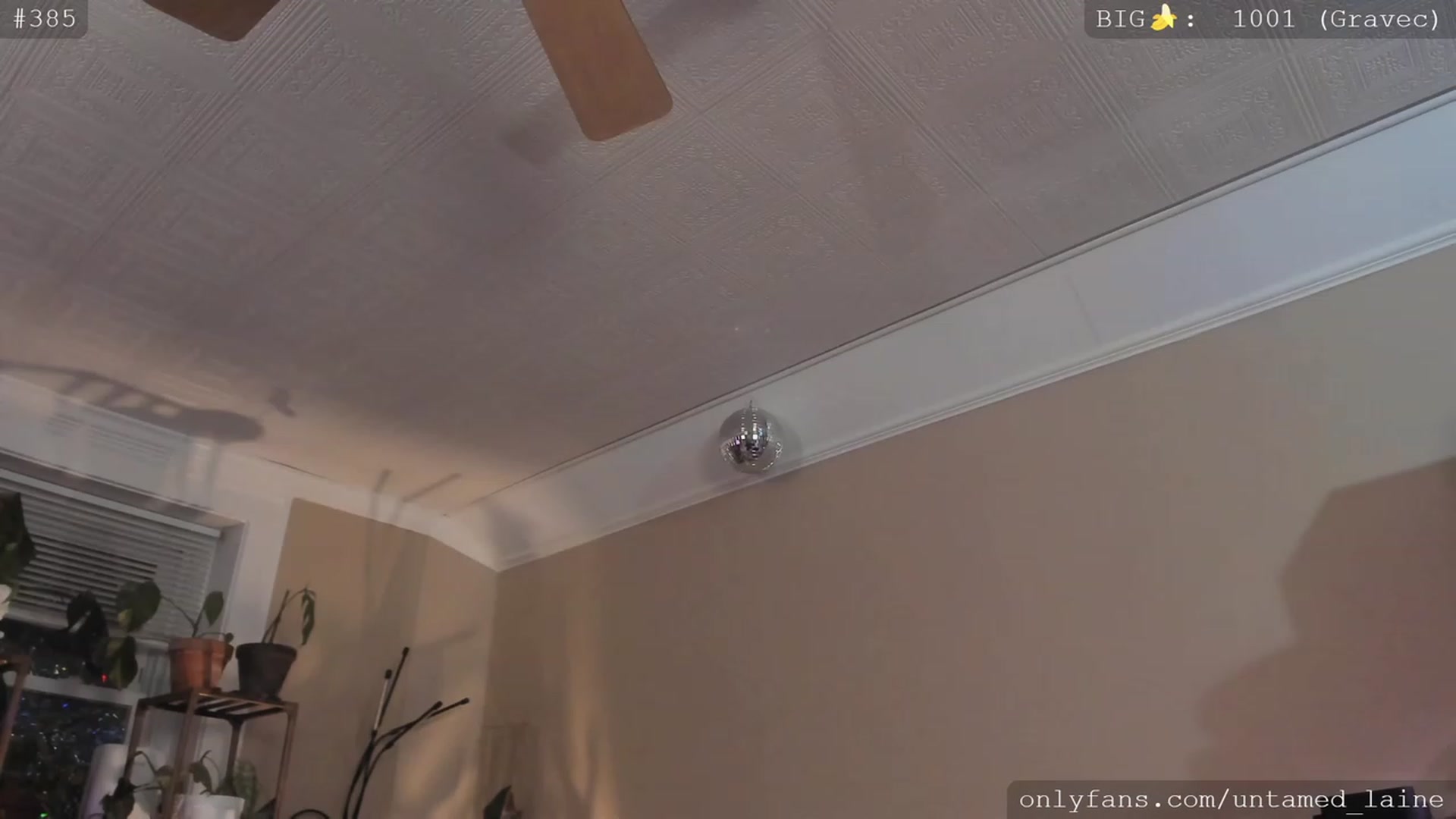 Gallery image thumbnail from e_laine's myfreecams stream on, 11/26/2022, 01:33 image 4 of 20