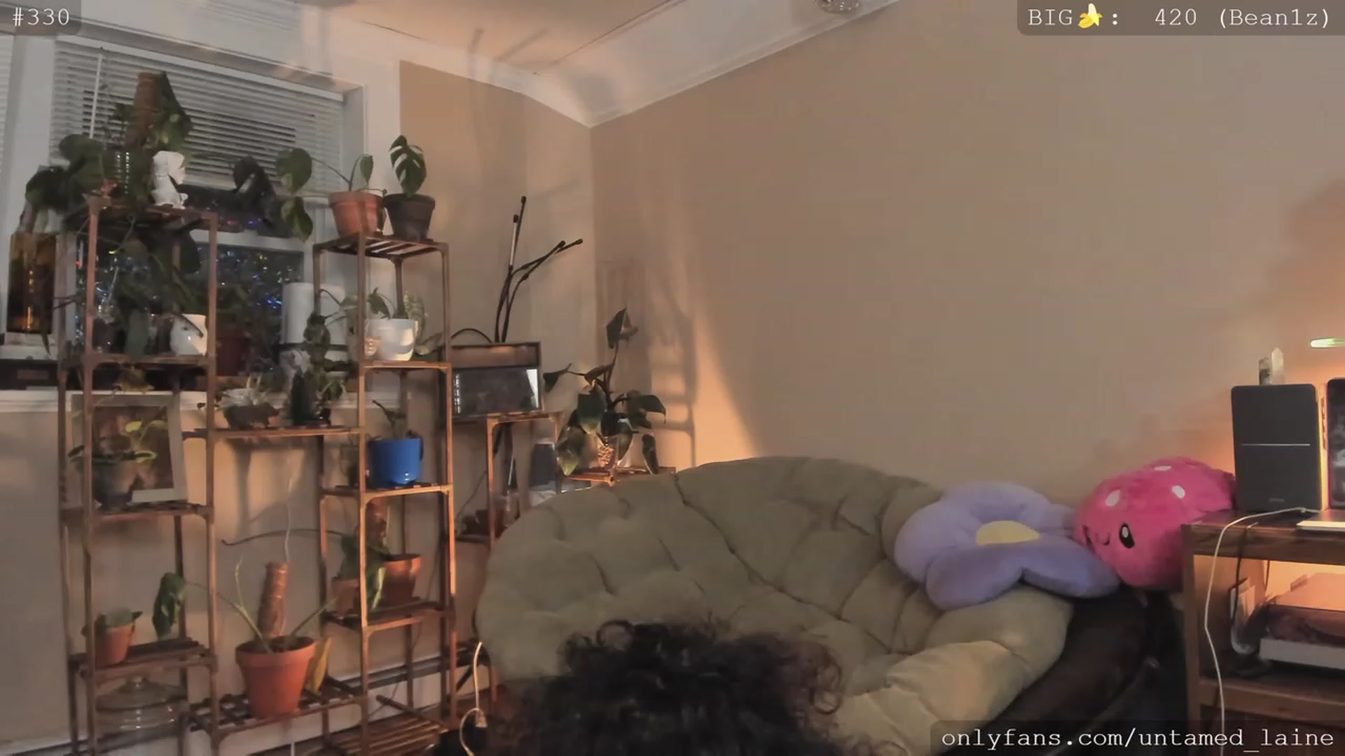 Gallery image thumbnail from e_laine's myfreecams stream on, 11/28/2022, 05:54 image 5 of 20
