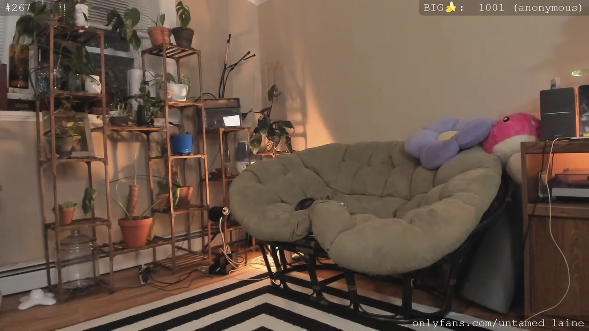 Gallery image thumbnail from e_laine's myfreecams stream on, 11/29/2022, 05:10 image 17 of 20