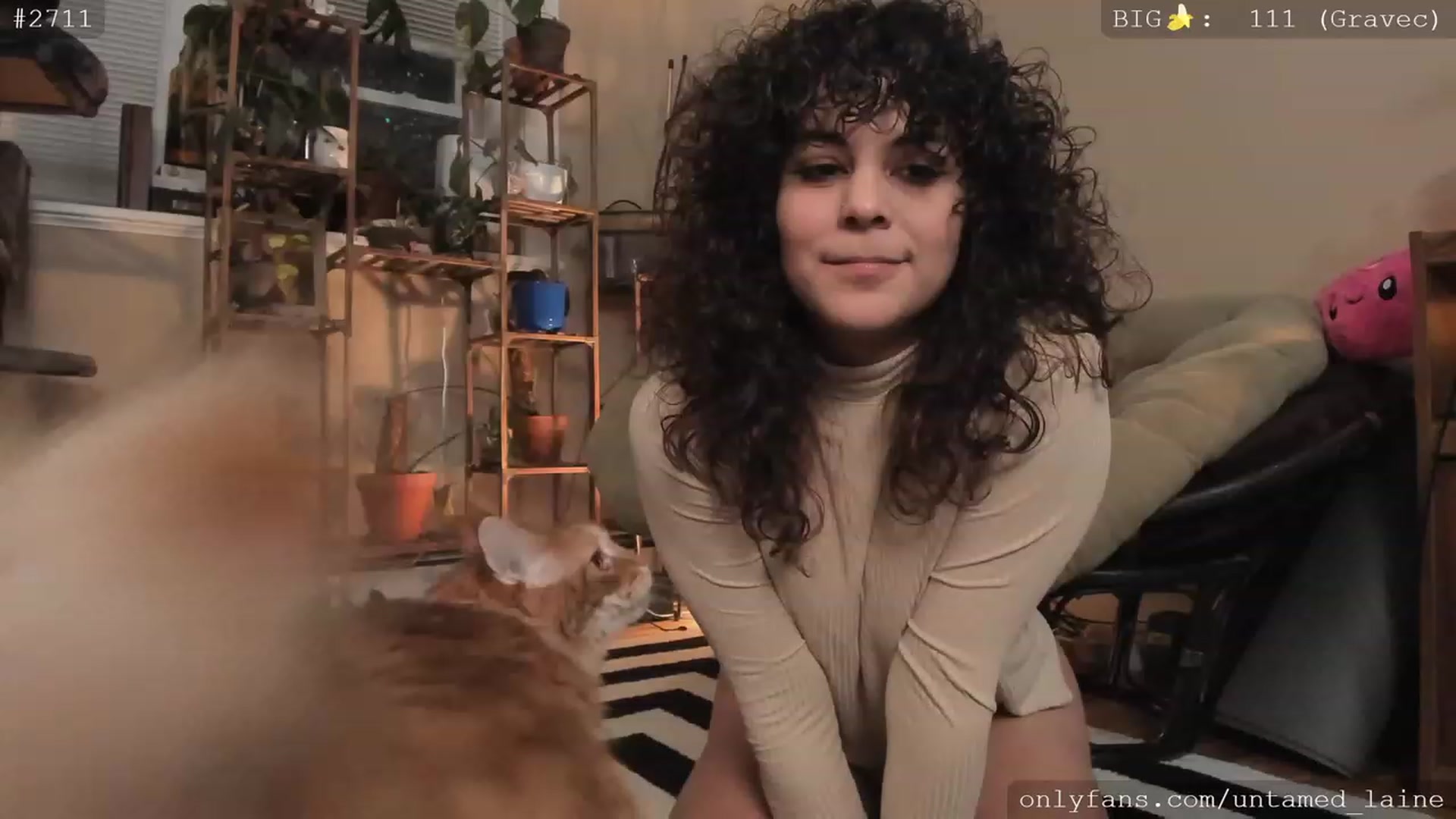 Gallery image thumbnail from e_laine's myfreecams stream on, 12/02/2022, 03:18 image 6 of 20