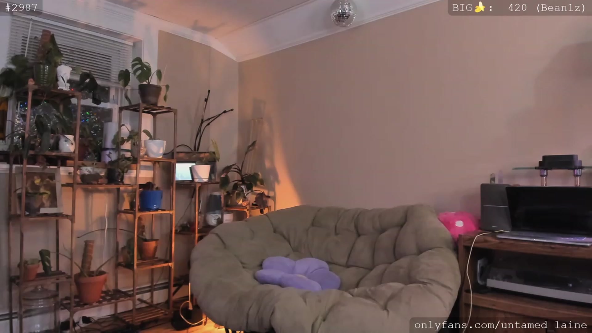 Gallery image thumbnail from e_laine's myfreecams stream on, 12/06/2022, 03:04 image 4 of 20