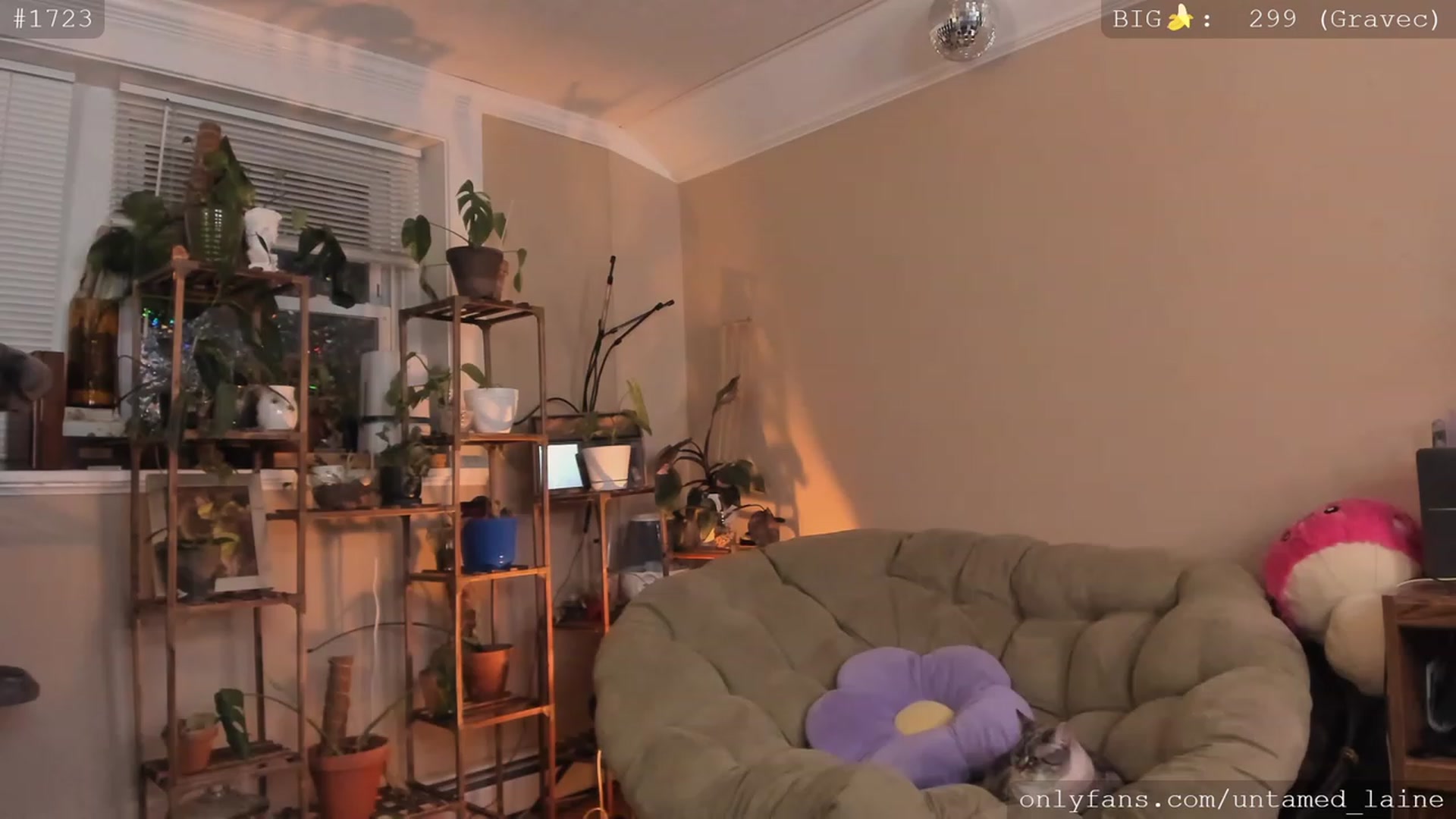 Gallery image thumbnail from e_laine's myfreecams stream on, 12/07/2022, 02:51 image 13 of 20