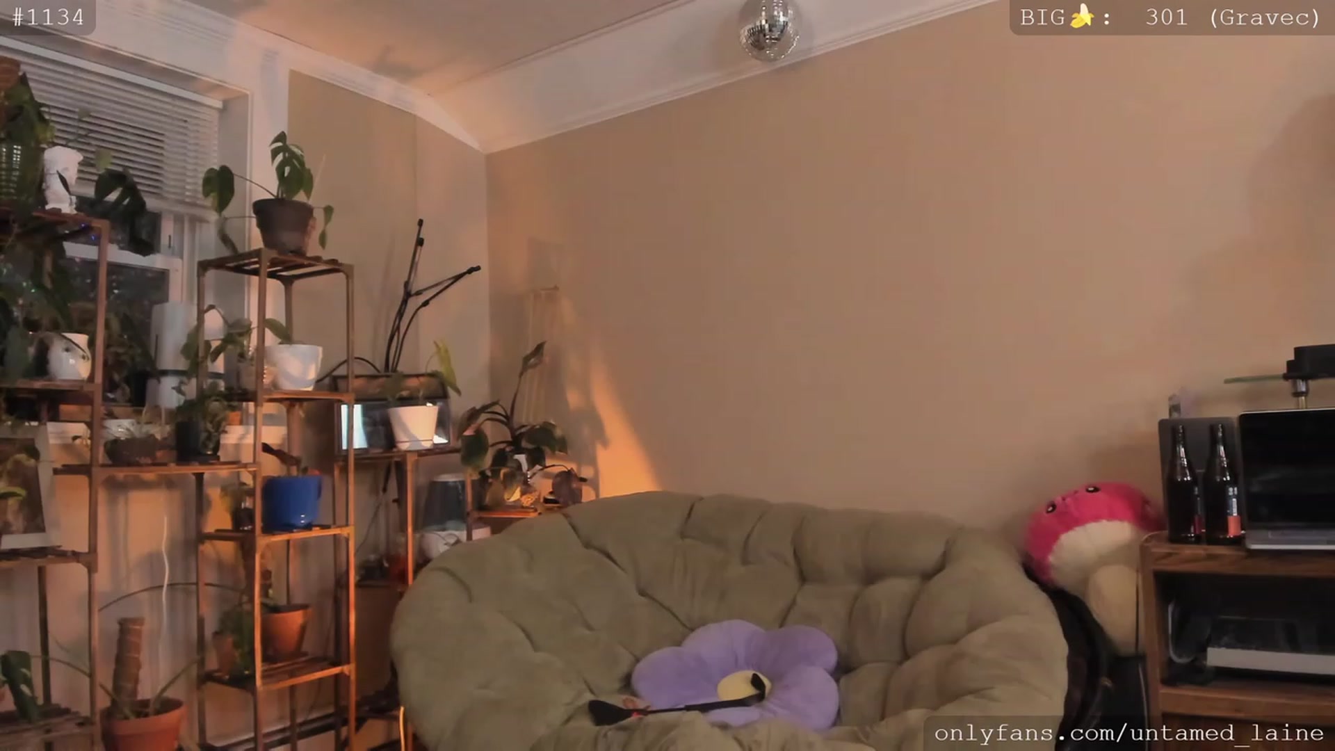 Gallery image thumbnail from e_laine's myfreecams stream on, 12/07/2022, 05:05 image 11 of 20