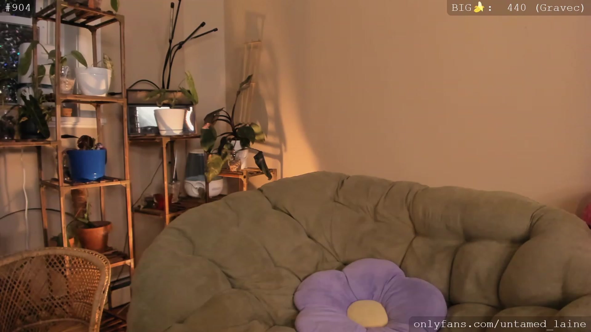Gallery image thumbnail from e_laine's myfreecams stream on, 12/09/2022, 03:33 image 13 of 20