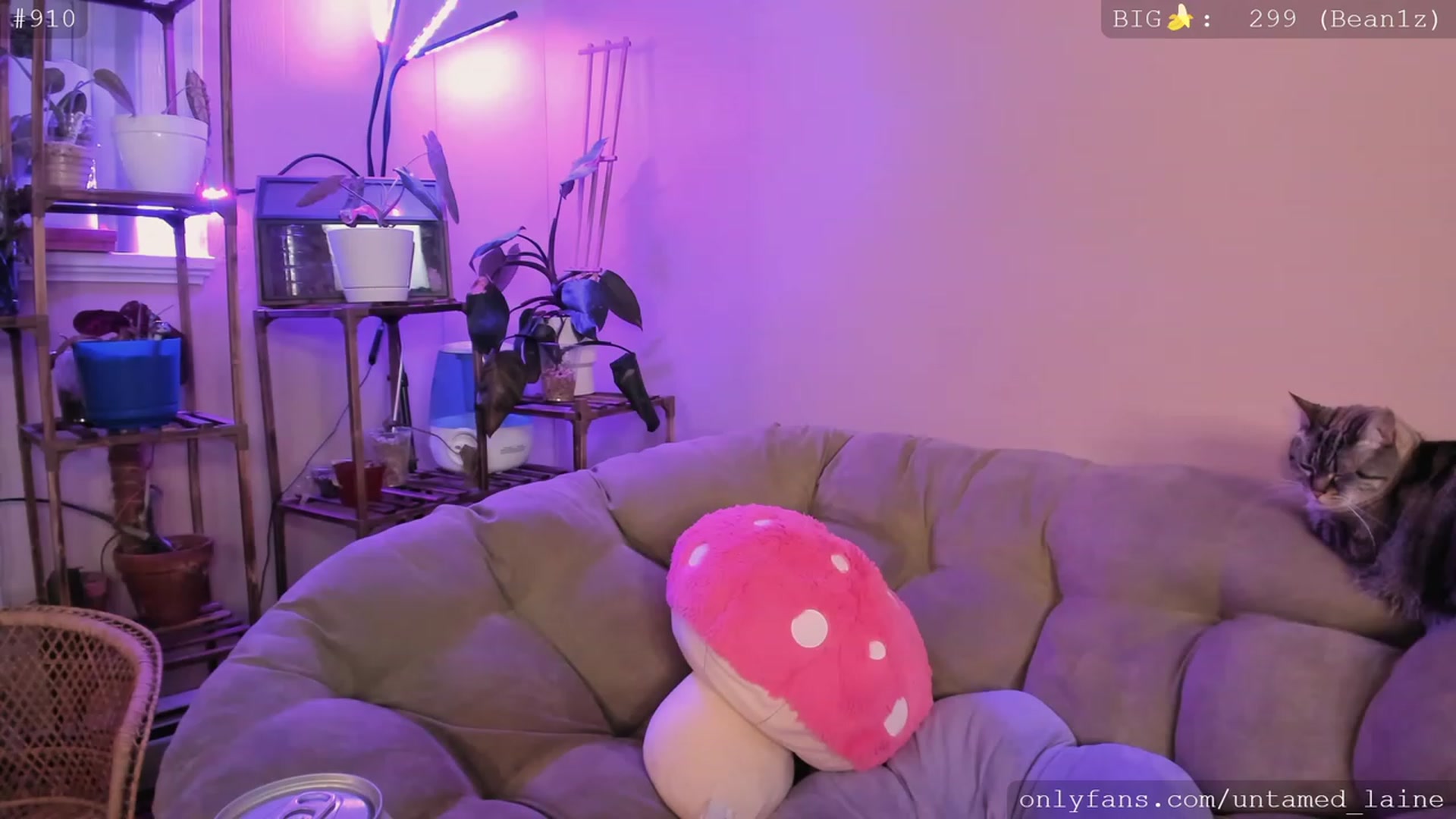 Gallery image thumbnail from e_laine's myfreecams stream on, 12/10/2022, 02:44 image 9 of 20